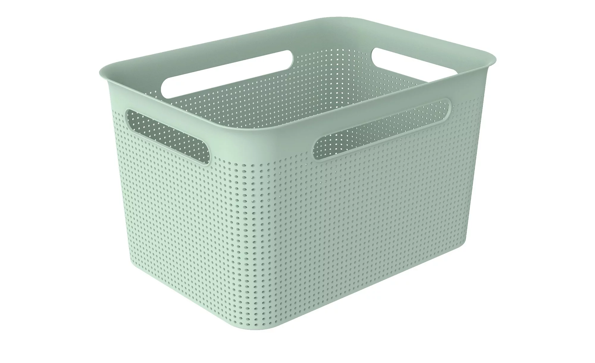 Rotho Aufbewahrungsbox - grün - Kunststoff - 36 cm - 21 cm - 26 cm - Aufbew günstig online kaufen
