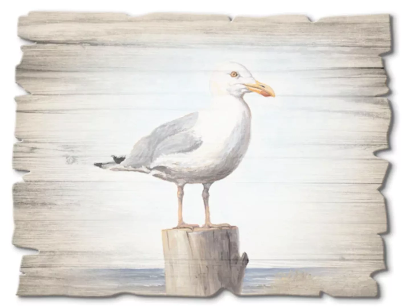 Artland Holzbild »Möwe«, Vögel, (1 St.) günstig online kaufen