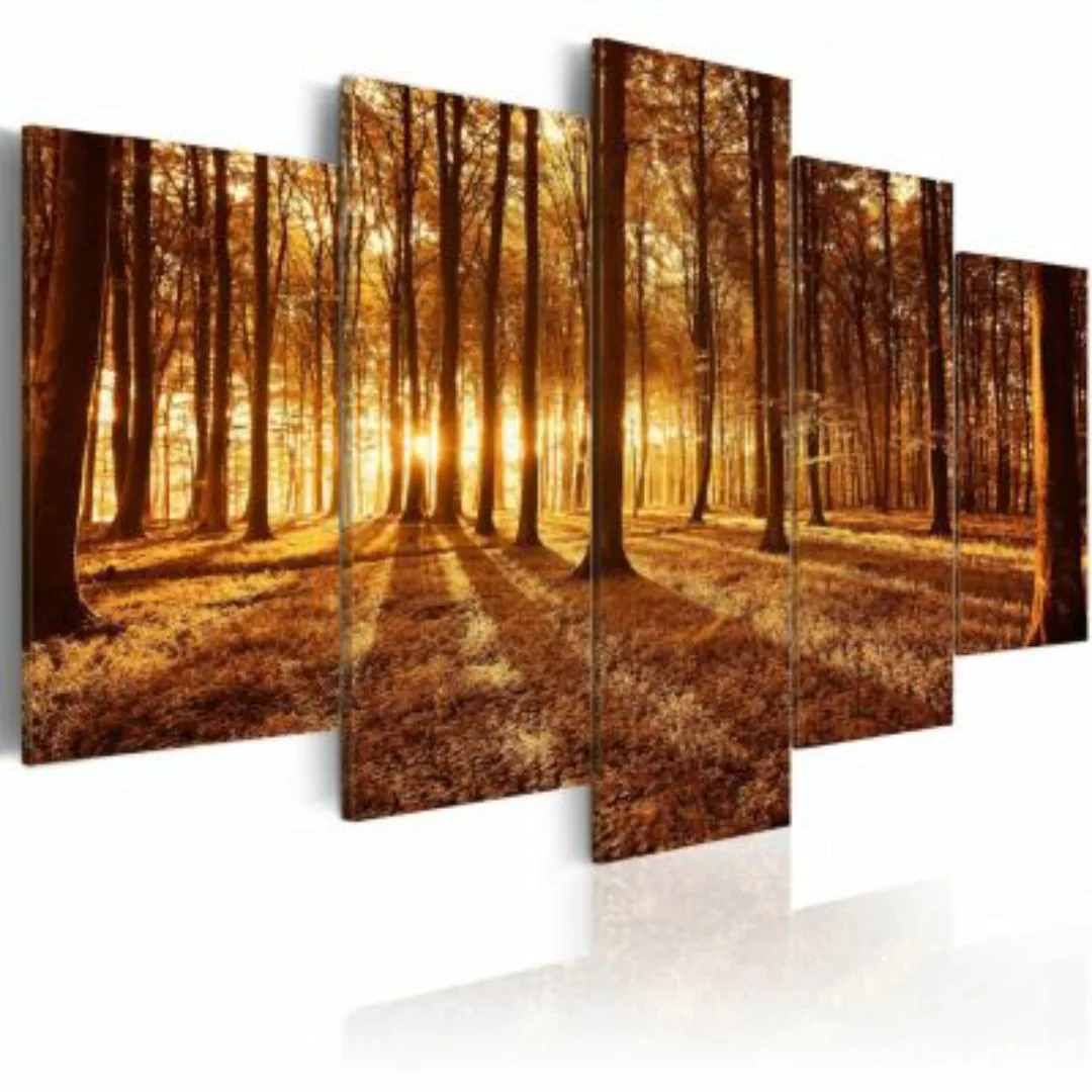 artgeist Wandbild Amber forest orange Gr. 200 x 100 günstig online kaufen