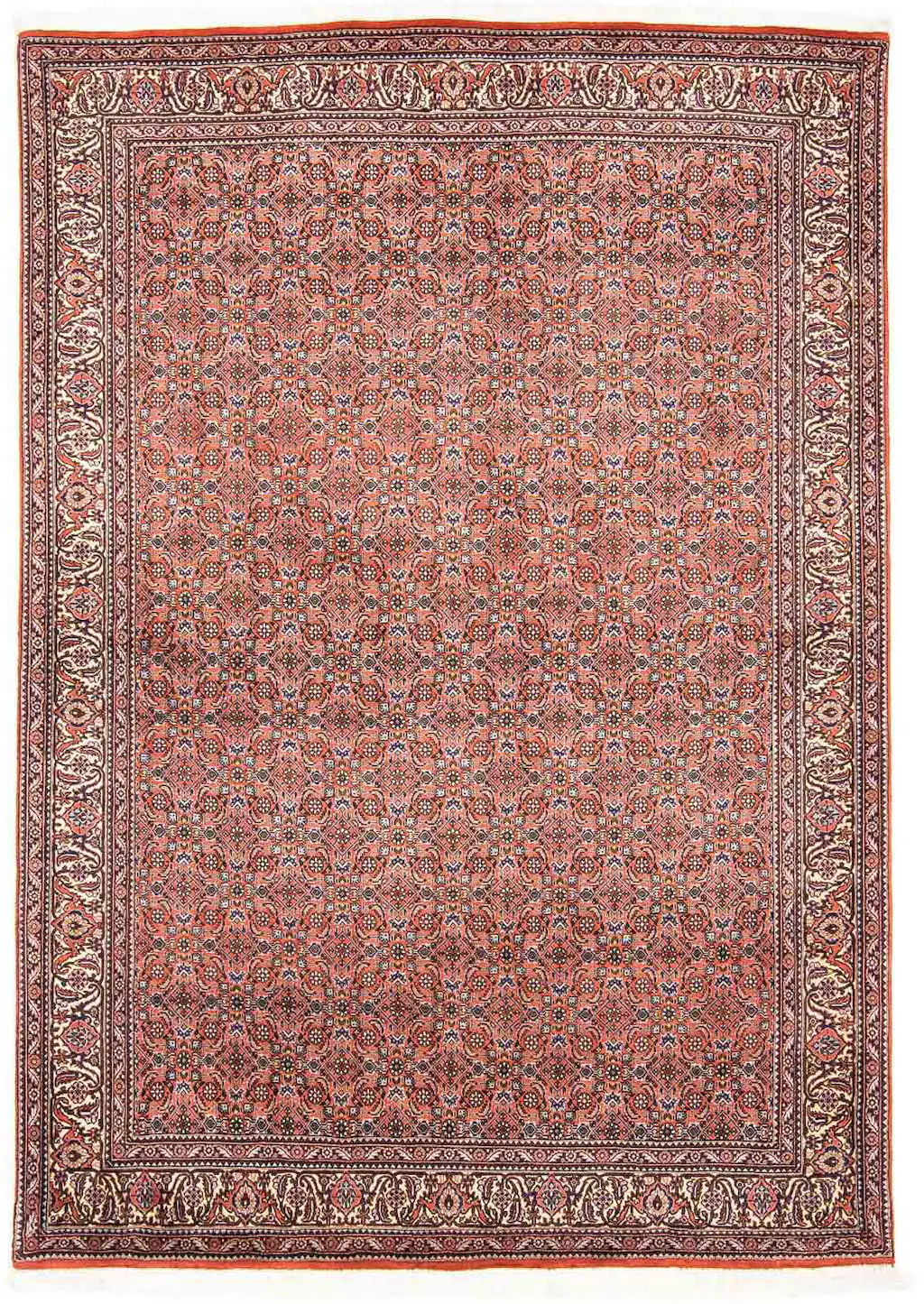 morgenland Orientteppich »Perser - Bidjar - 239 x 168 cm - hellrot«, rechte günstig online kaufen