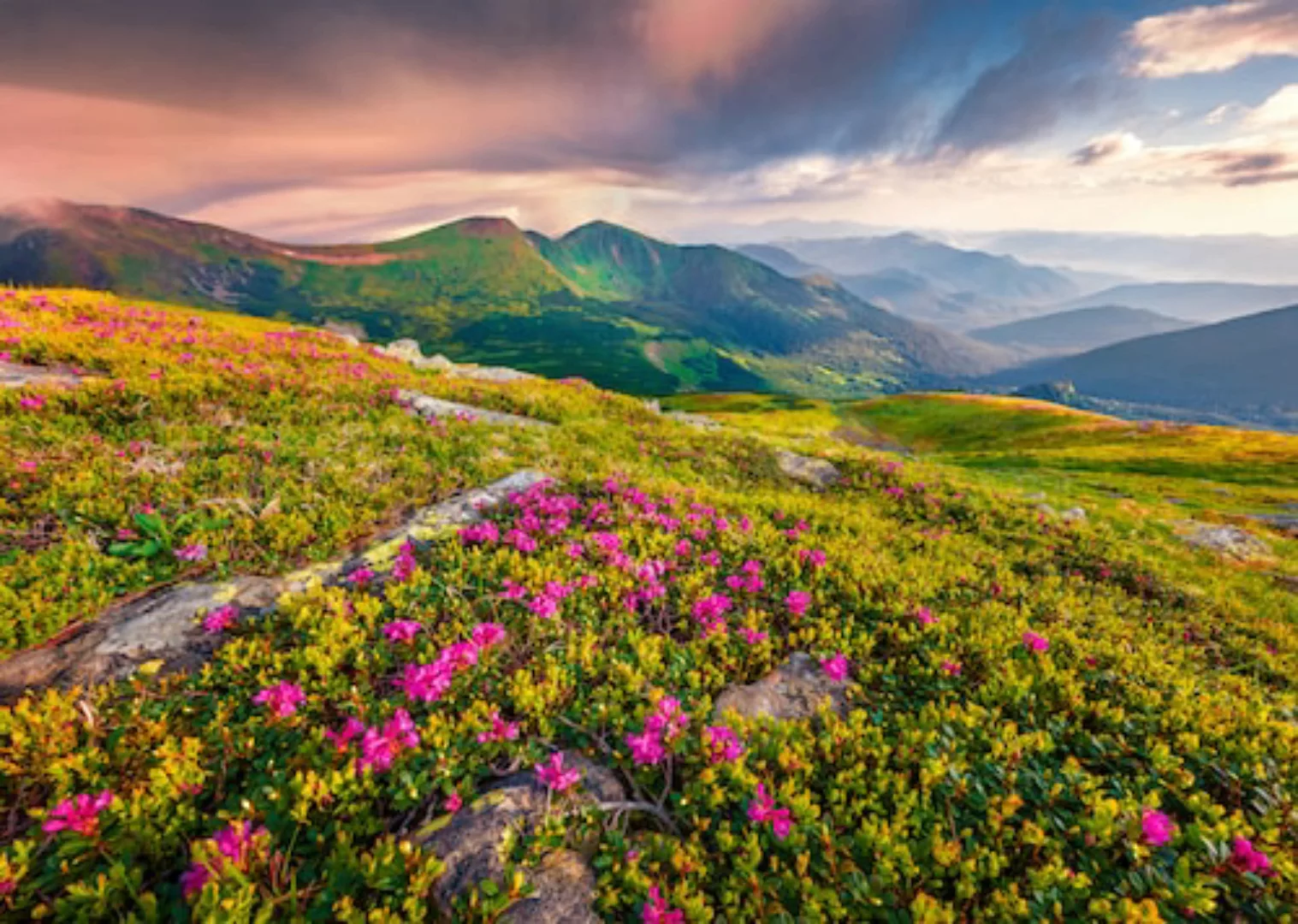 Papermoon Fototapete »BLUMEN-NATUR LANDSCHAFT BERGE GEBIRGE ALPEN LAVENDEL« günstig online kaufen