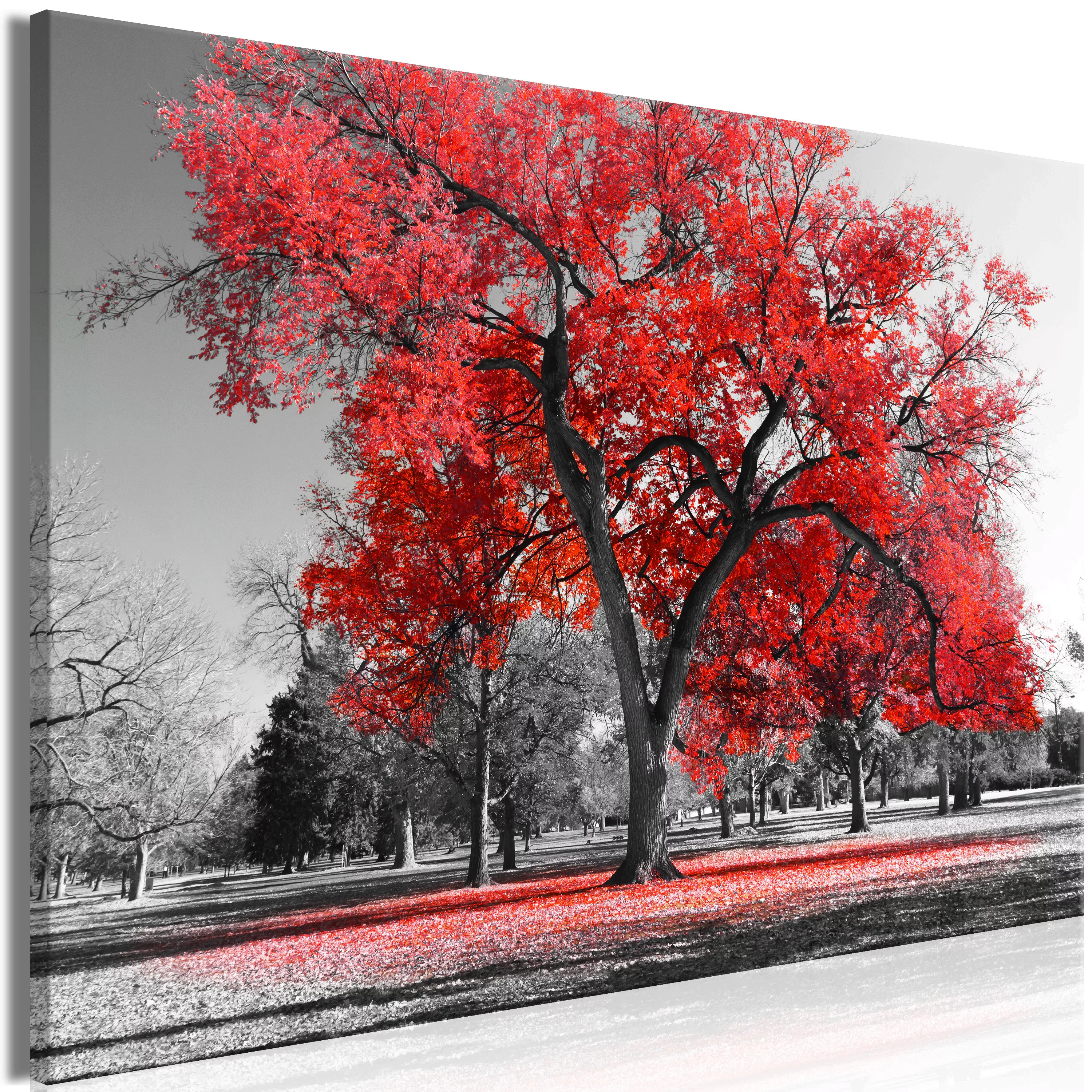 Wandbild - Autumn In The Park (1 Part) Wide Red günstig online kaufen