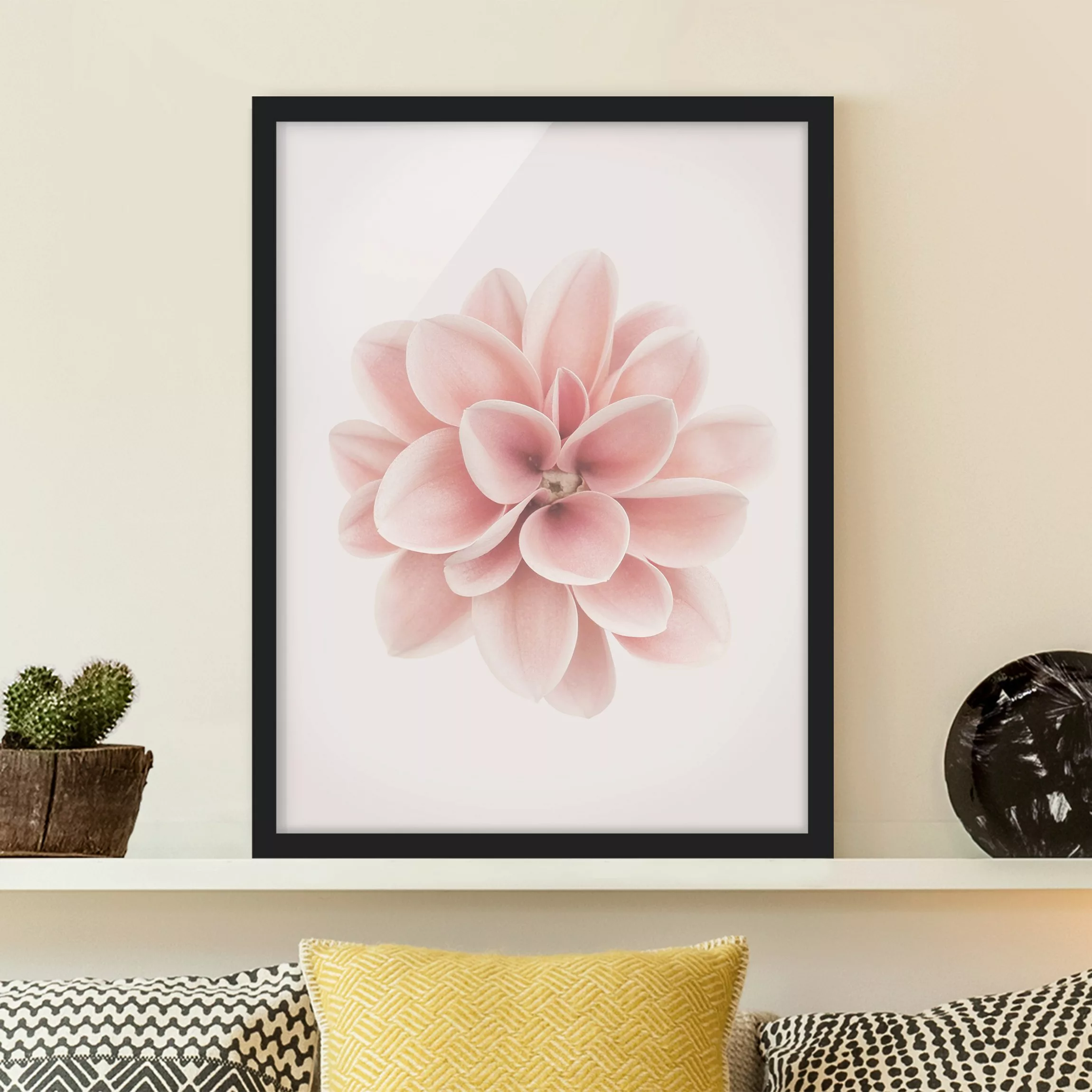 Bild mit Rahmen Dahlie Rosa Pastell Blume Zentriert günstig online kaufen