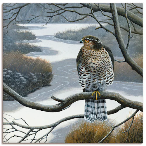 Artland Wandbild »Falke im Baum«, Vögel, (1 St.), als Leinwandbild, Wandauf günstig online kaufen