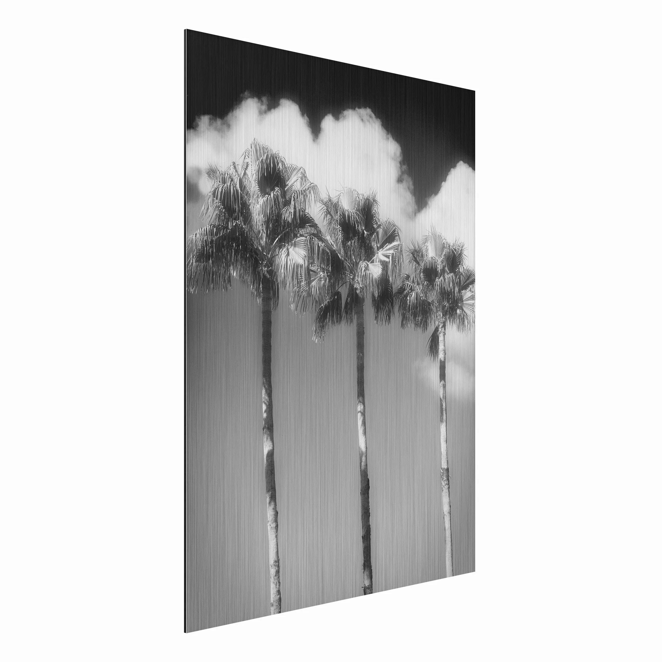 Alu-Dibond Bild Natur & Landschaft - Hochformat 3:4 Palmen vor Himmel Schwa günstig online kaufen