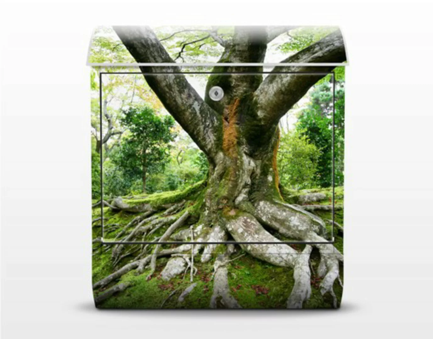 Briefkasten Natur & Landschaft Alter Baum günstig online kaufen