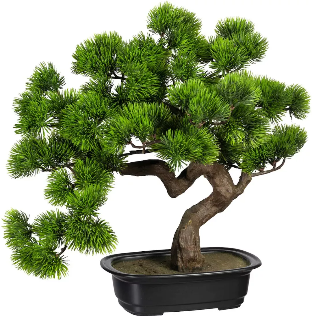 Gasper Kunstbonsai günstig online kaufen