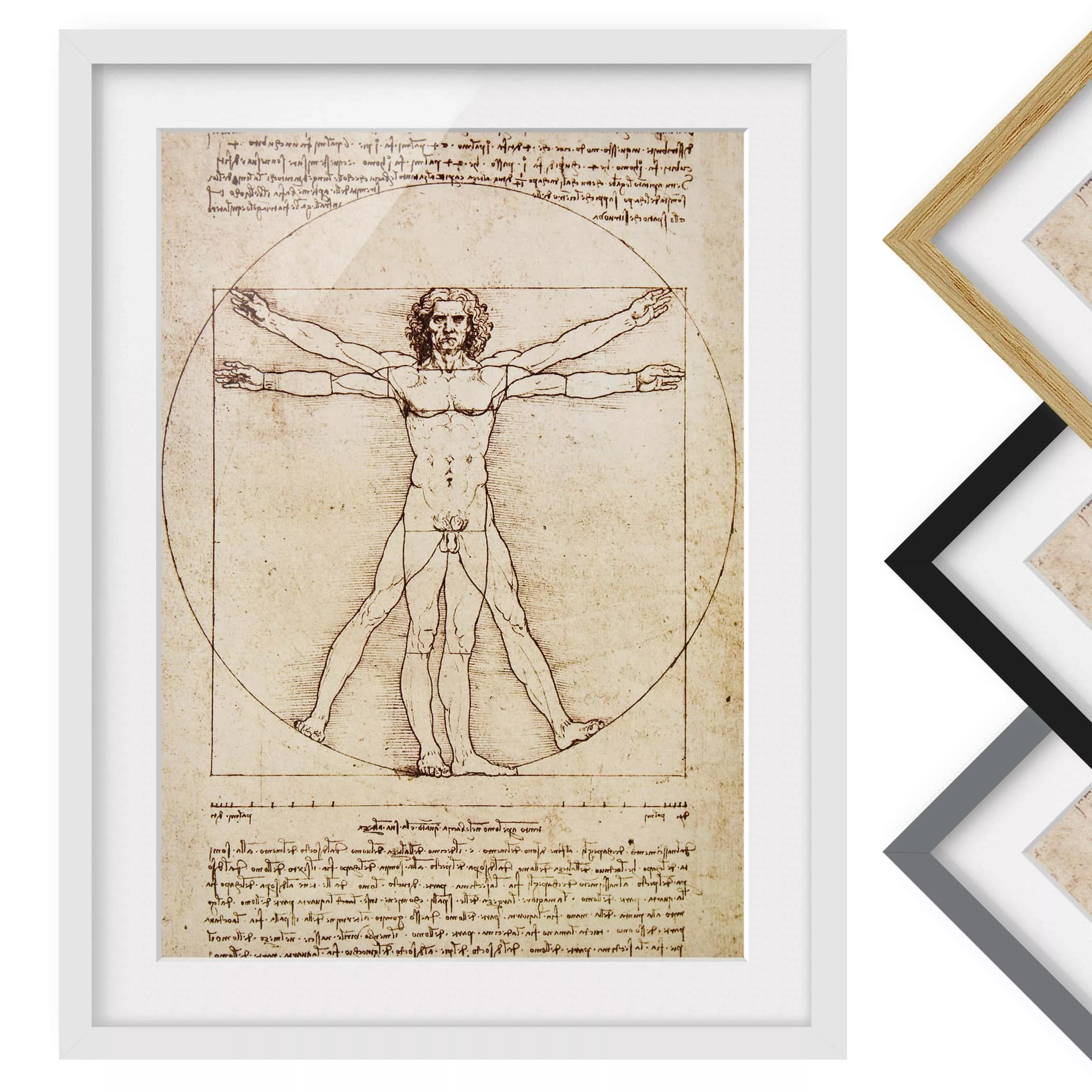 home24 Bild Da Vinci II günstig online kaufen
