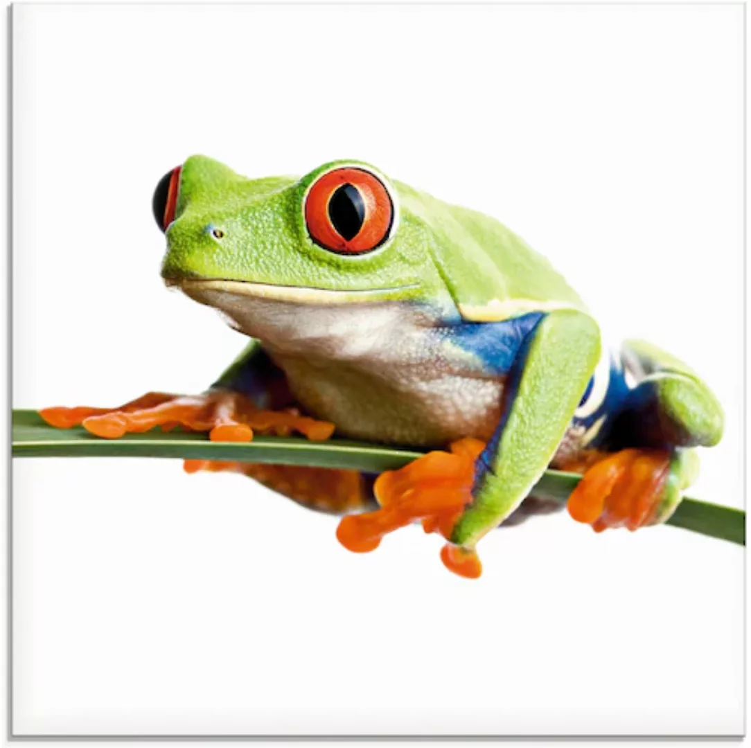 Artland Glasbild »Frosch auf einem Blatt«, Wassertiere, (1 St.), in verschi günstig online kaufen