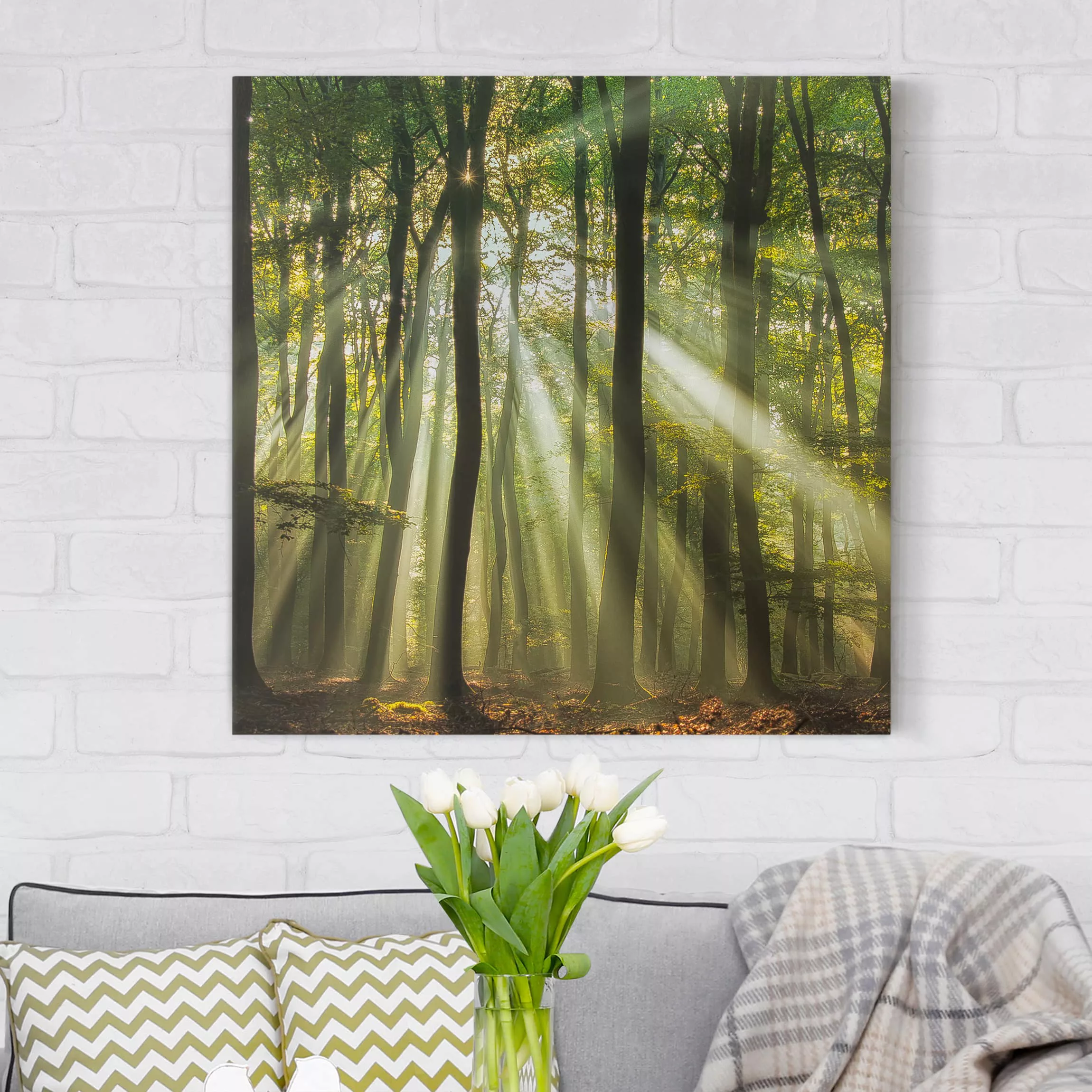 Leinwandbild Wald - Quadrat Sonnentag im Wald günstig online kaufen