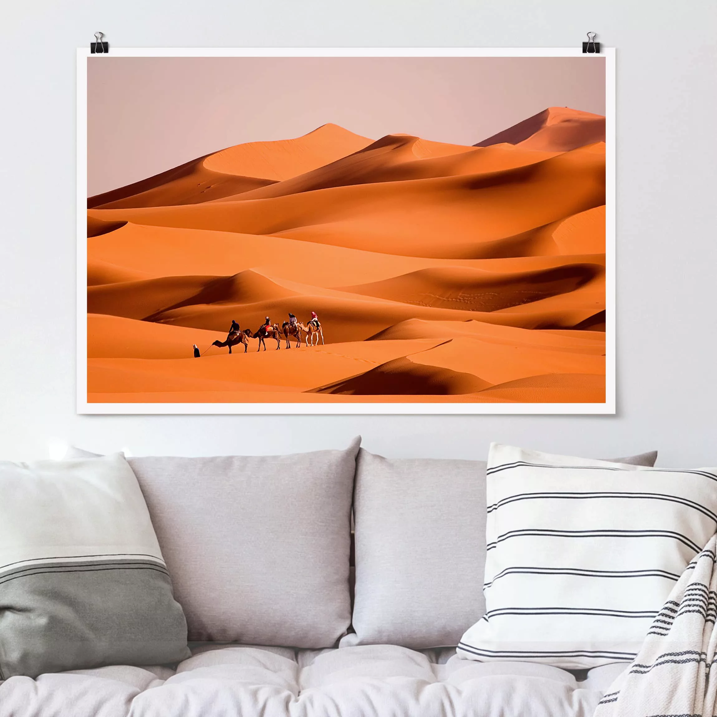 Poster Tiere - Querformat Namib Desert günstig online kaufen