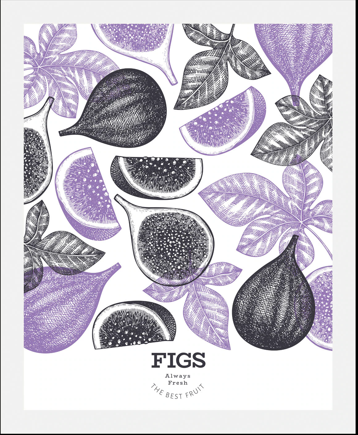 queence Bild "Figs", Obst-Obst Bilder-Essen-Lebensmittel-Kunst-Abstrakt-Fig günstig online kaufen