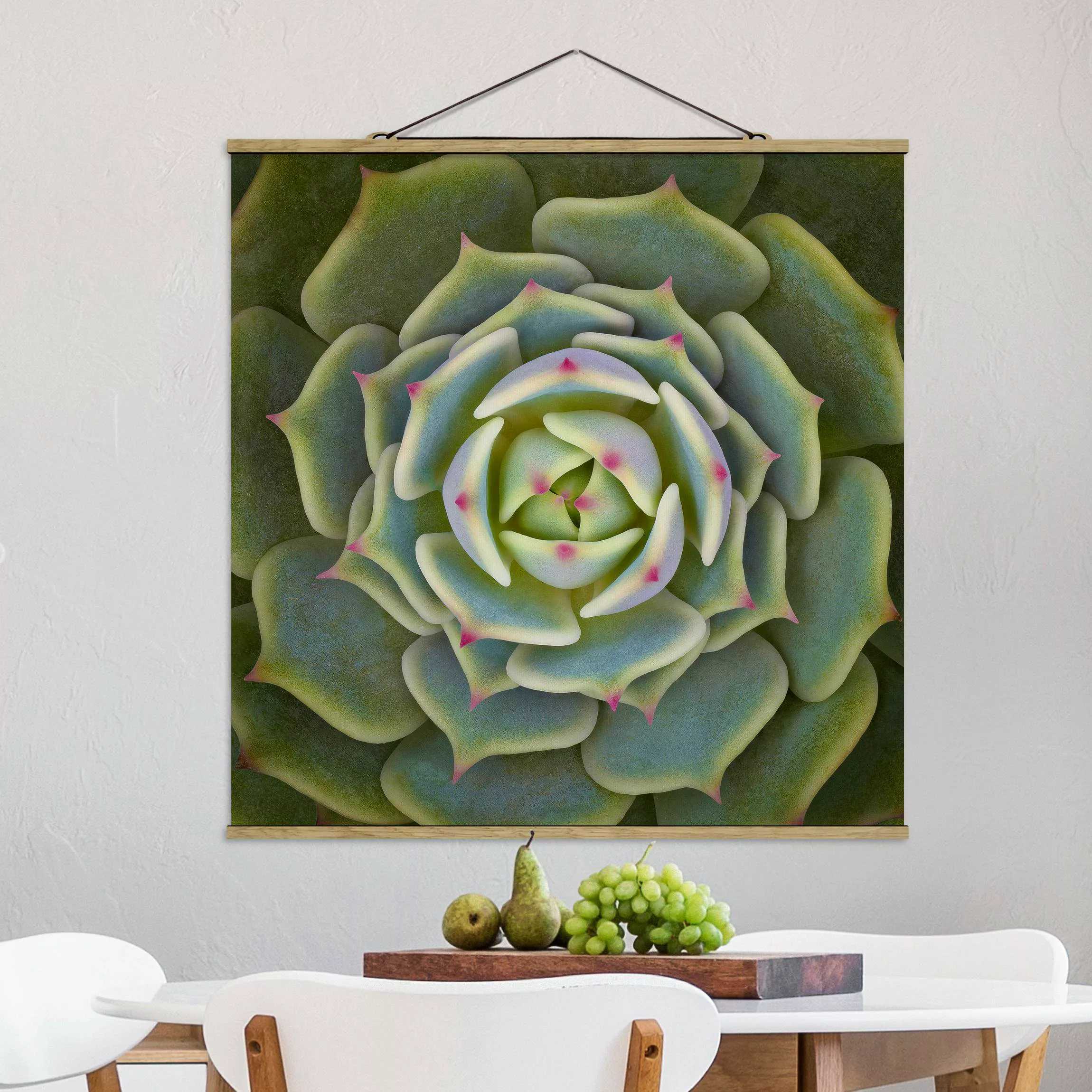 Stoffbild Blumen mit Posterleisten - Quadrat Sukkulente - Echeveria Ben Bad günstig online kaufen