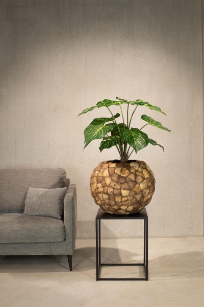 Calathea Kunstpflanze, UV Stabil, Höhe 70 cm günstig online kaufen