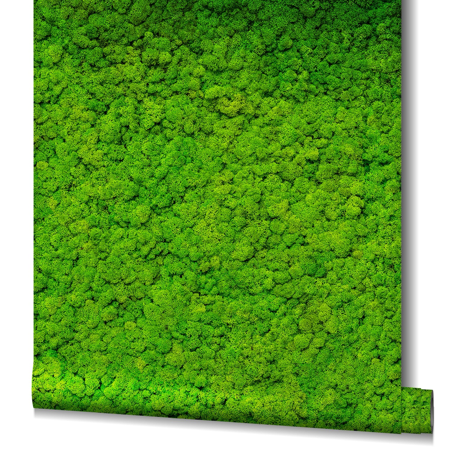 Marburg Vliestapete GZSZ Moos Floral 10,05 m x 0,53 m Hellgrün FSC® günstig online kaufen