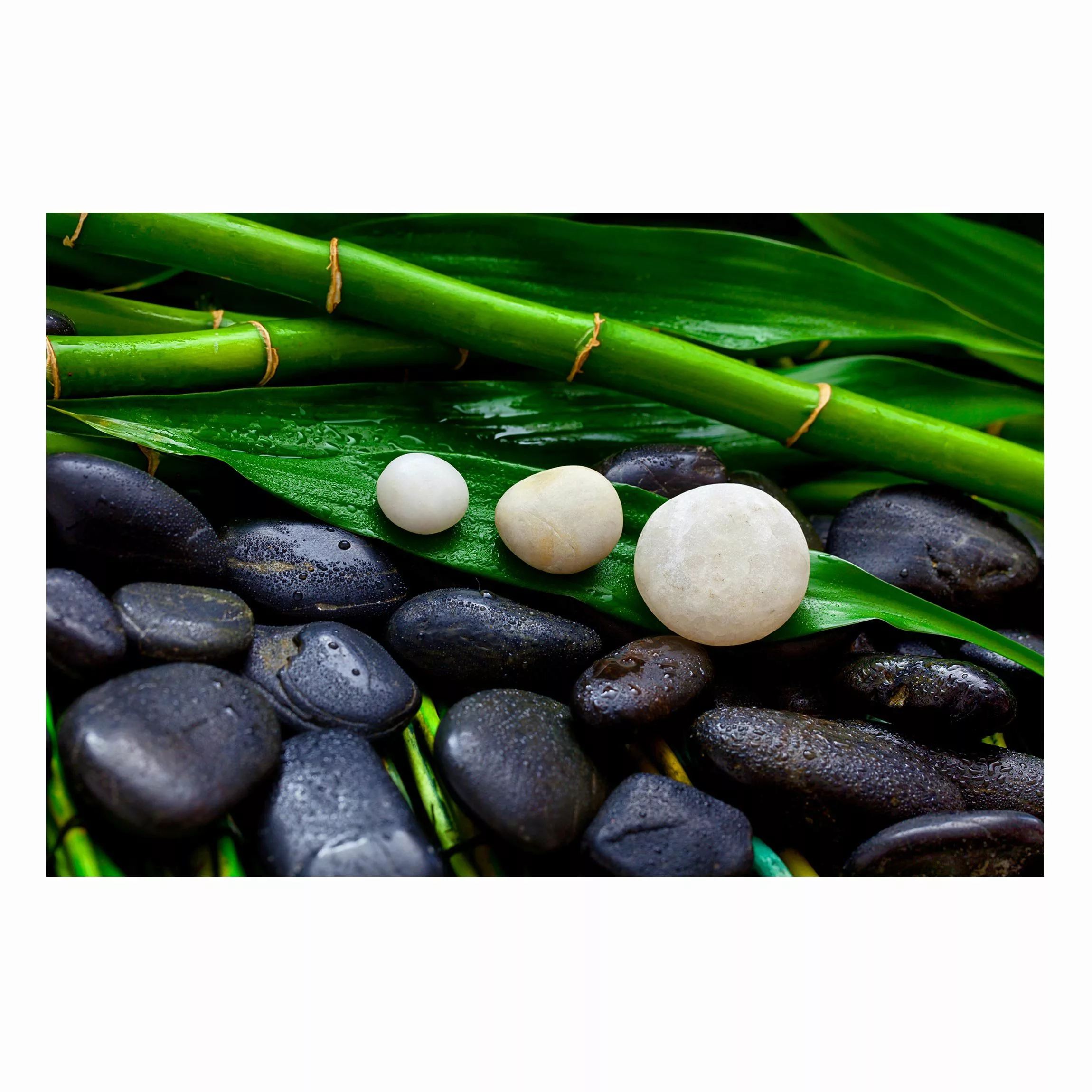 Magnettafel Grüner Bambus mit Zen Steinen günstig online kaufen