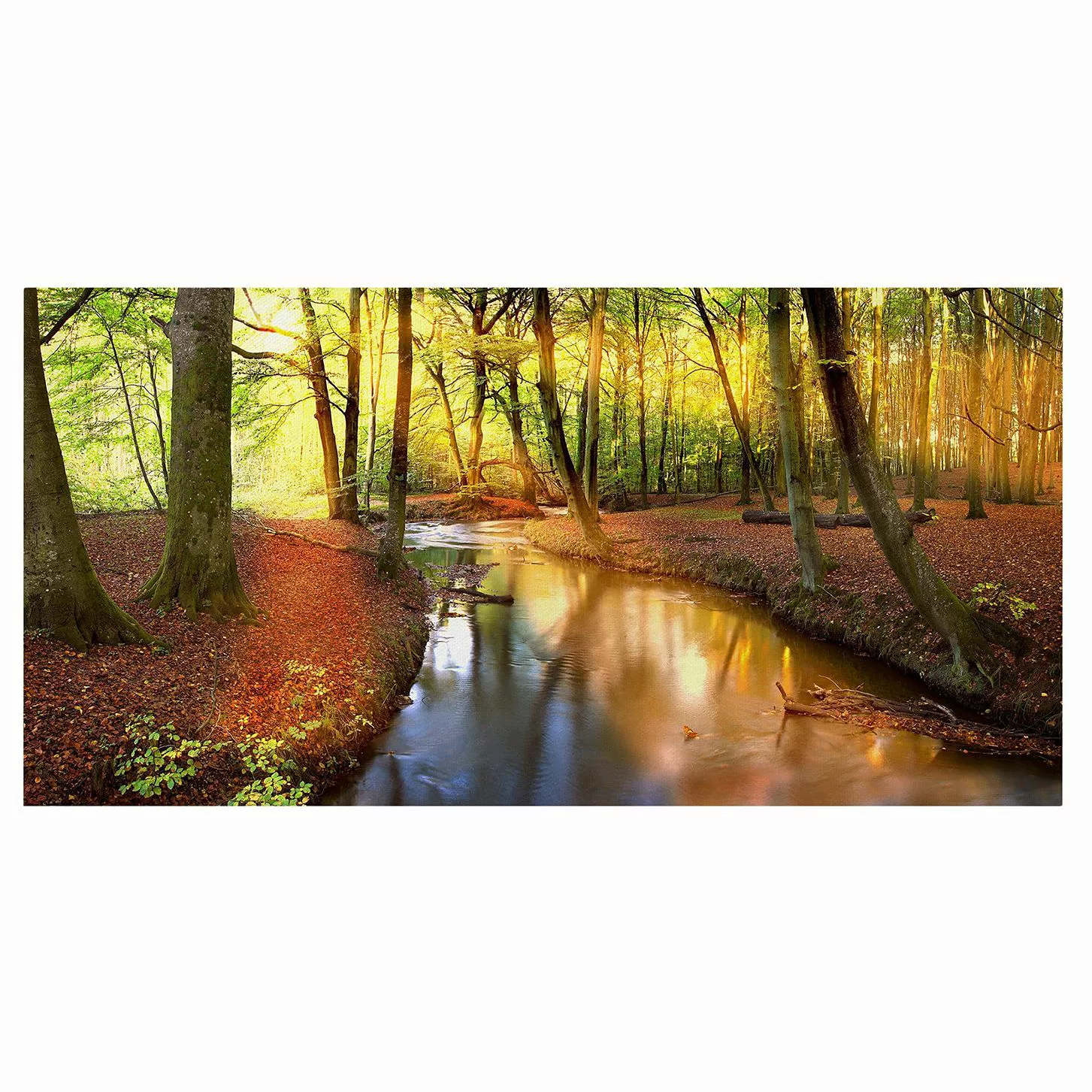 Leinwandbild Wald - Querformat Autumn Fairytale günstig online kaufen