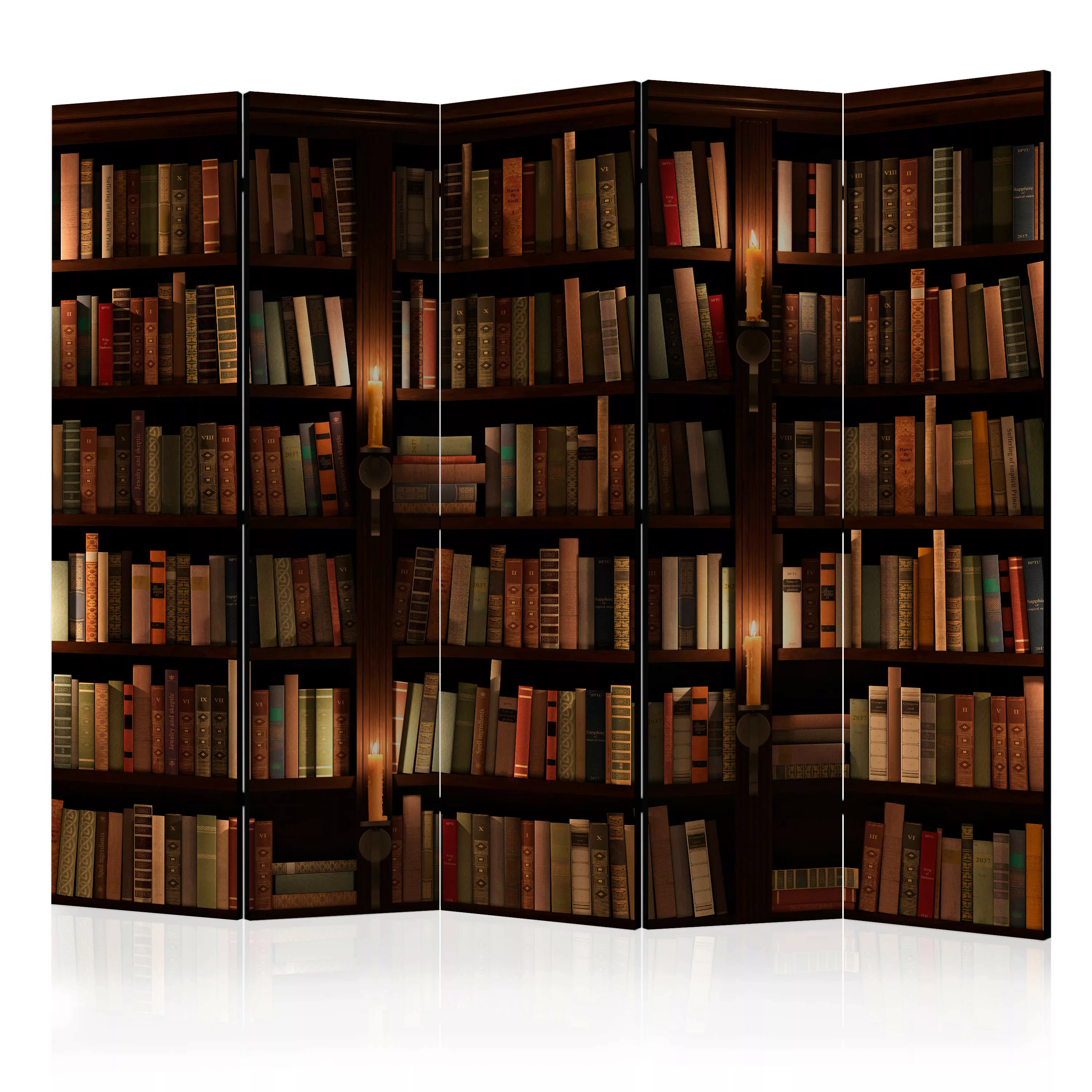 5-teiliges Paravent - Bookshelves Ii [room Dividers] günstig online kaufen