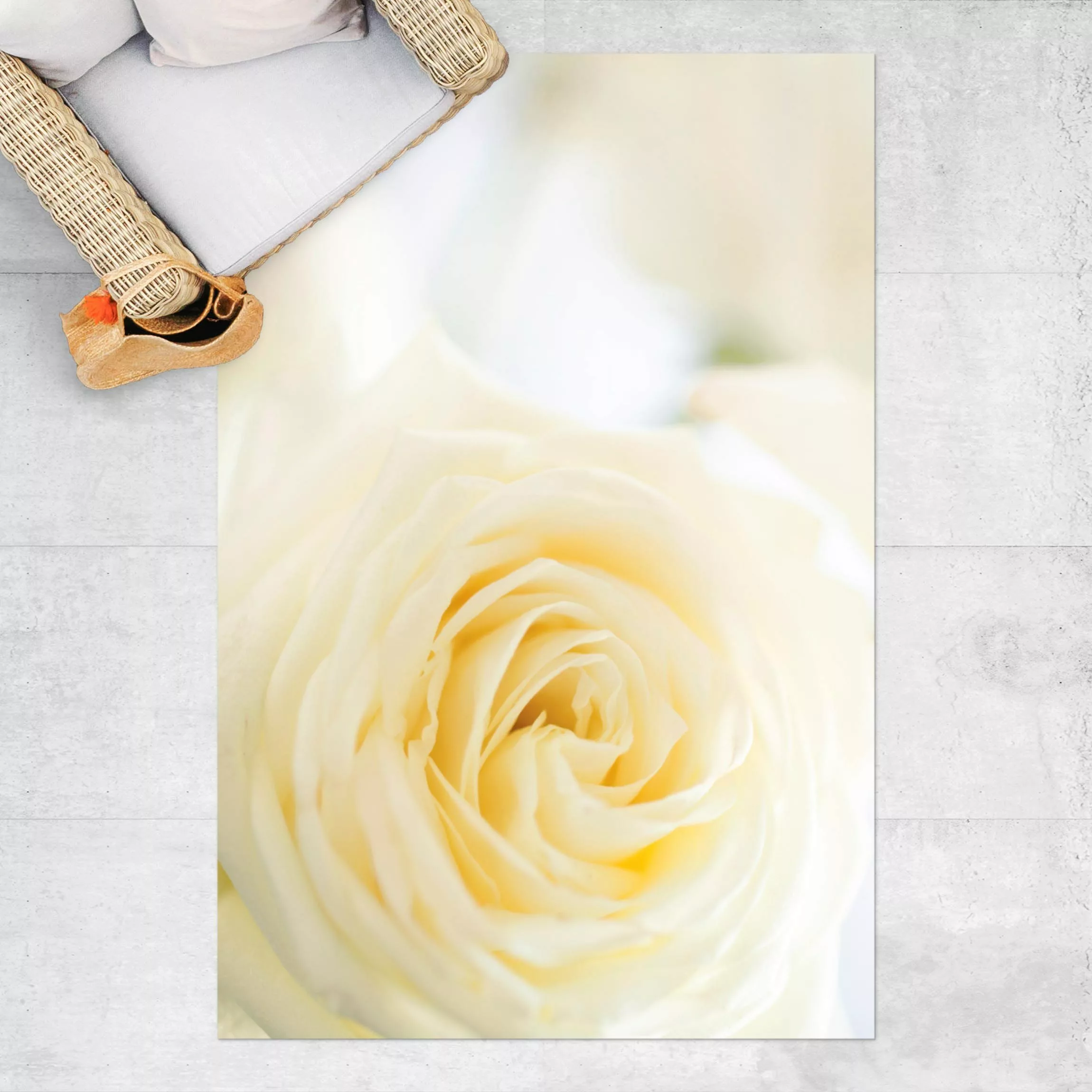 Vinyl-Teppich White Rose günstig online kaufen