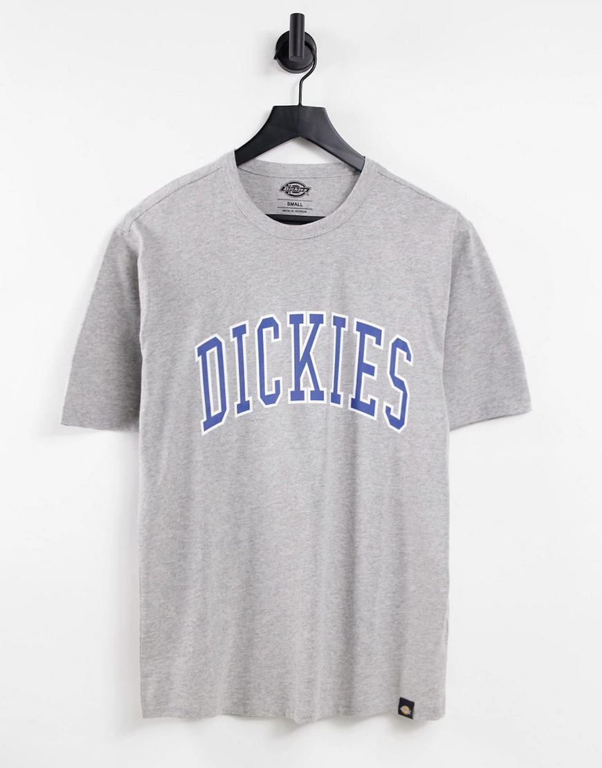 Dickies – Aitkin – T-Shirt in Grau günstig online kaufen