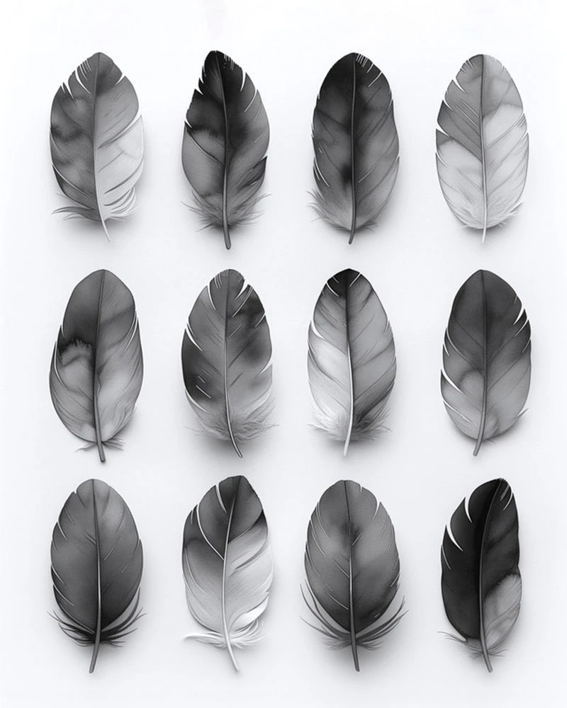 A.S. Création Leinwandbild "Feathers Grey - Wandbild Schwarz Grau Keilrahme günstig online kaufen