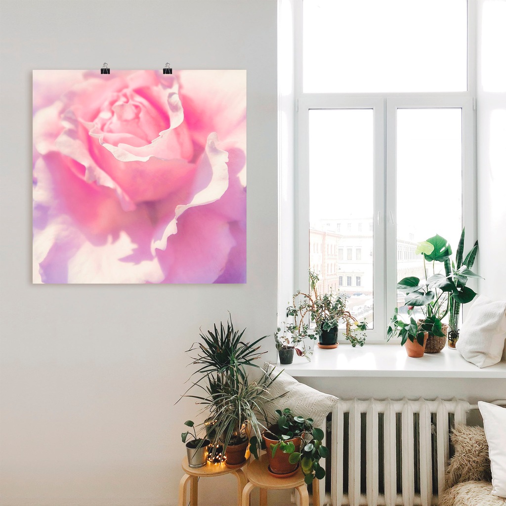 Artland Wandbild »Rosa«, Blumen, (1 St.), als Leinwandbild, Poster, Wandauf günstig online kaufen