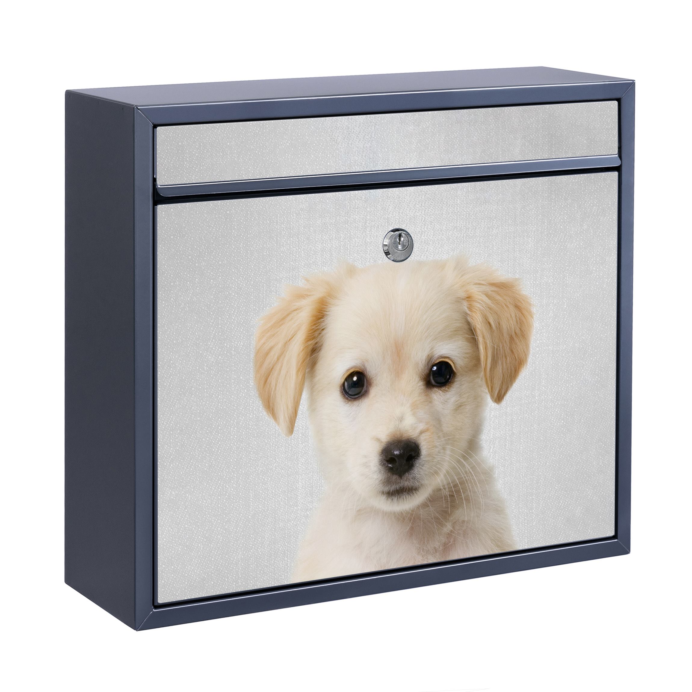 Briefkasten mit eigenem Text Baby Golden Retriever Gizmo günstig online kaufen