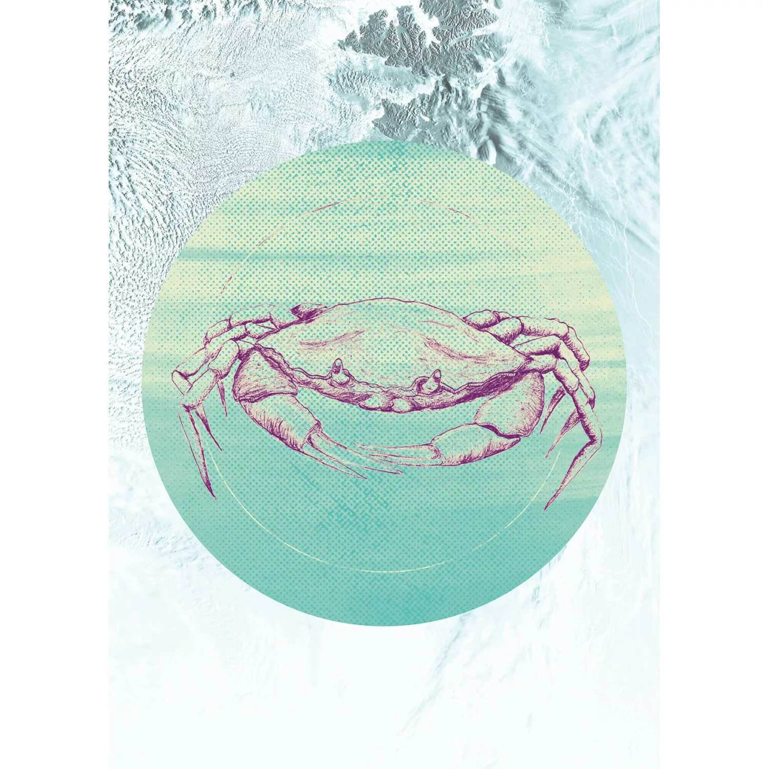 Komar Poster "Crab Sea", Tiere, (1 St.) günstig online kaufen