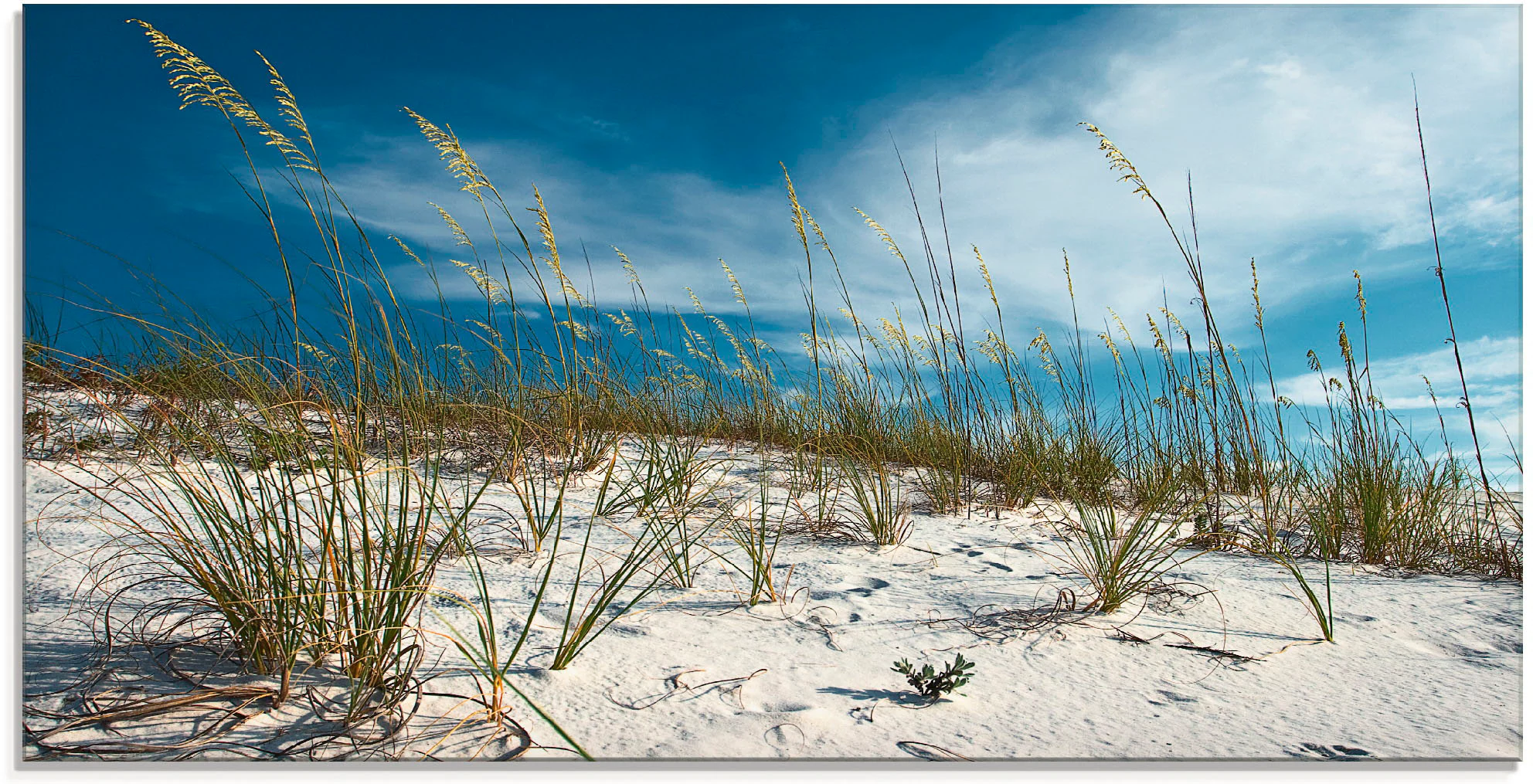 Artland Glasbild »Sanddüne und Gräser«, Strand, (1 St.), in verschiedenen G günstig online kaufen