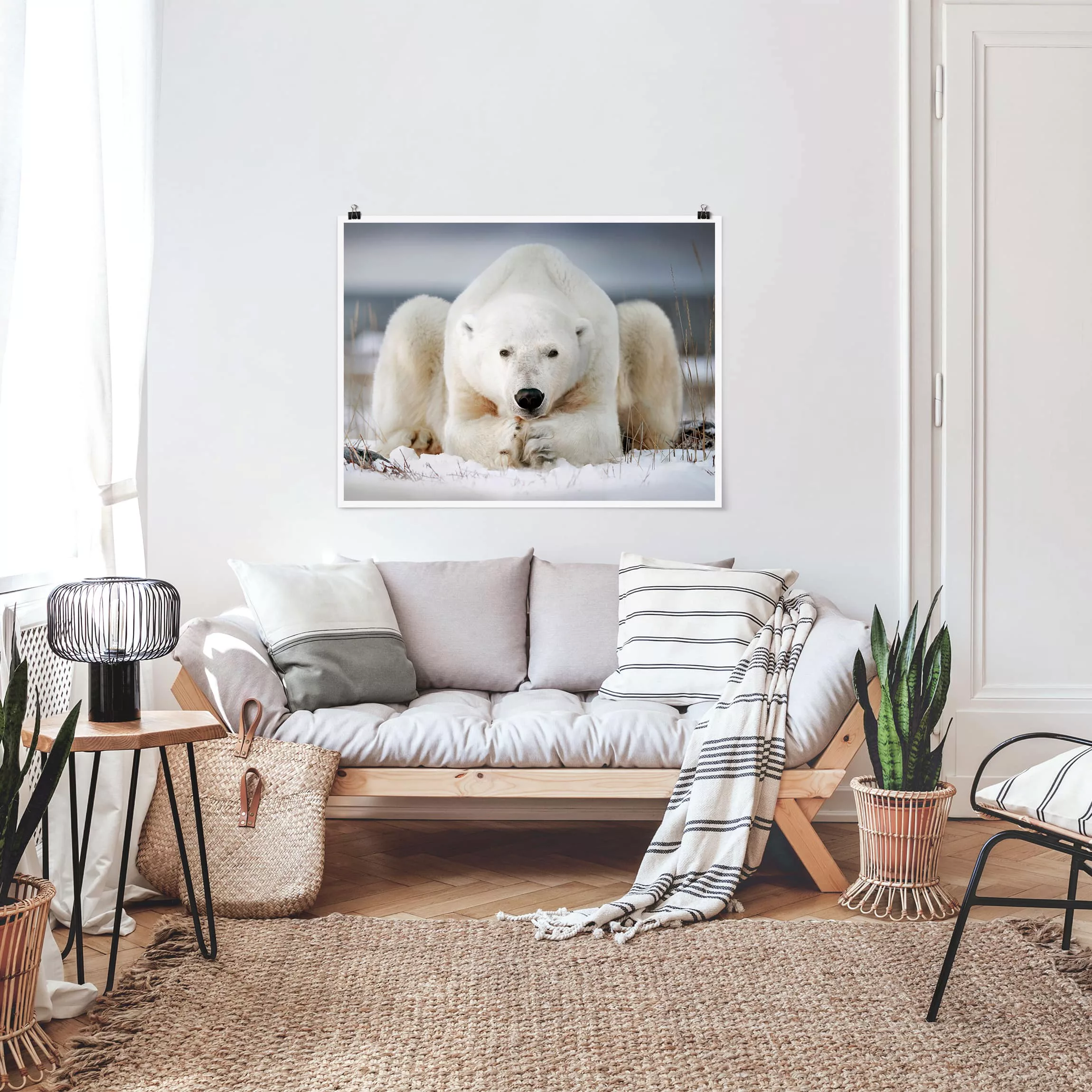 Poster Tiere - Querformat Nachdenklicher Eisbär günstig online kaufen