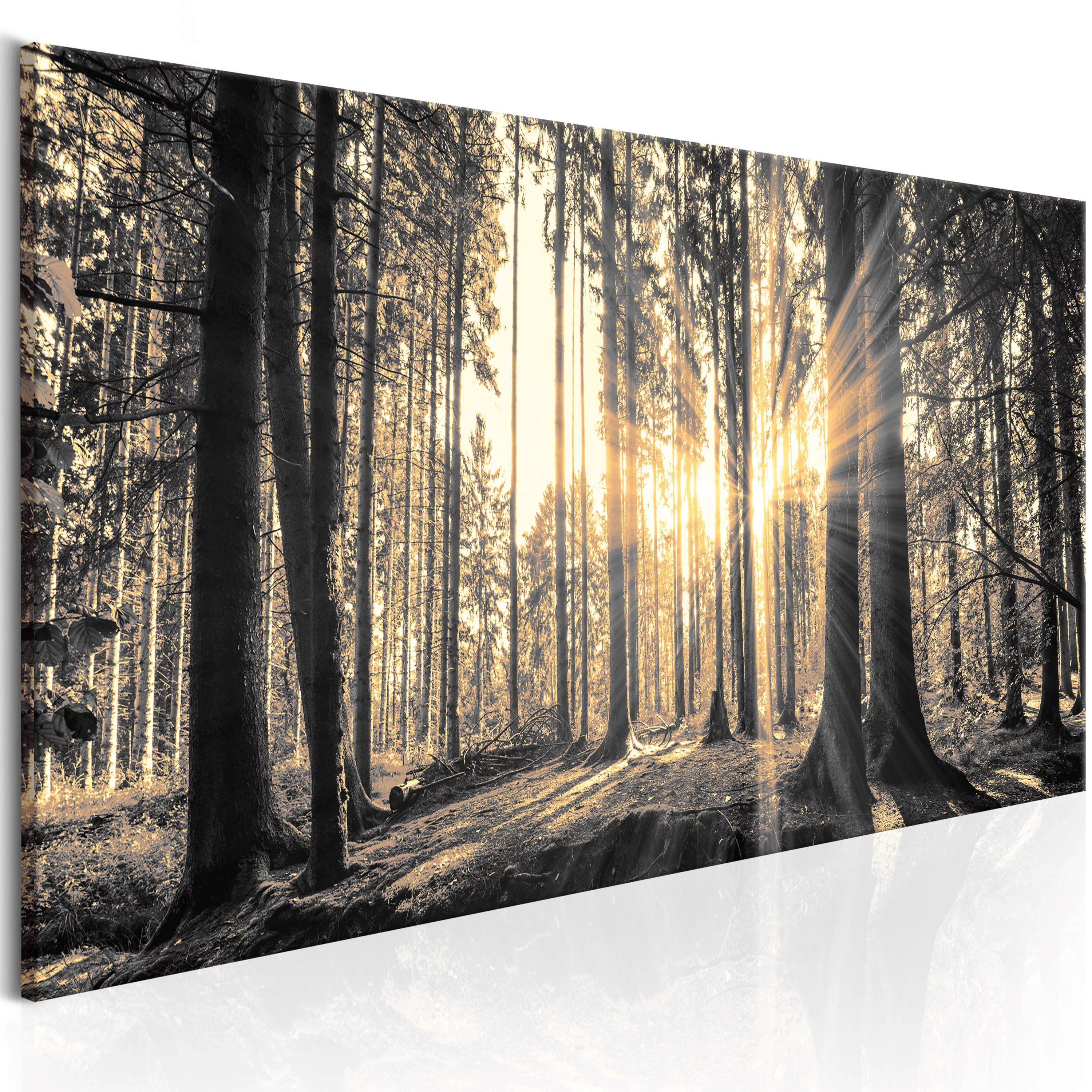 Wandbild - Waldsonne günstig online kaufen