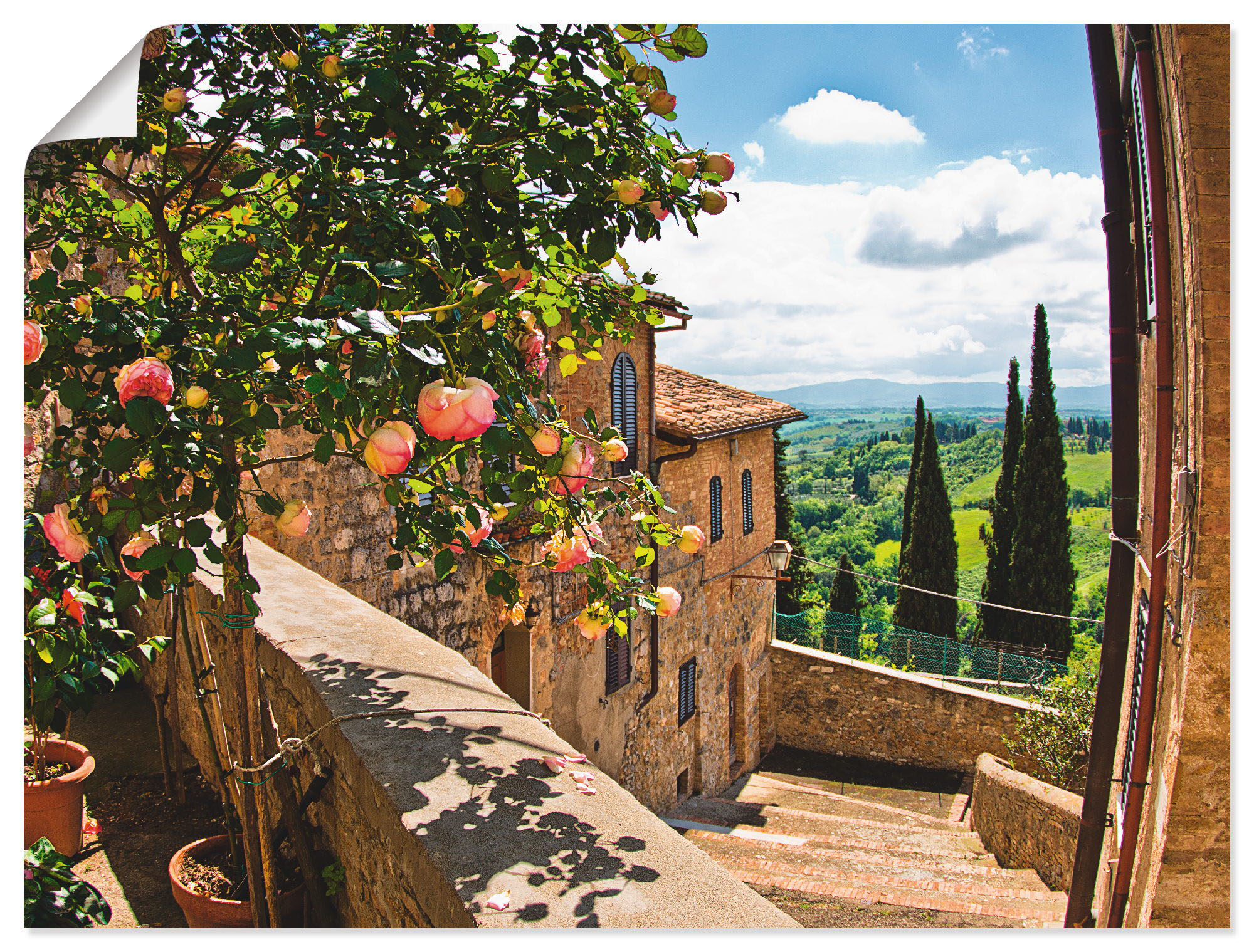 Artland Wandbild "Rosen auf Balkon Toskanalandschaft", Garten, (1 St.), als günstig online kaufen