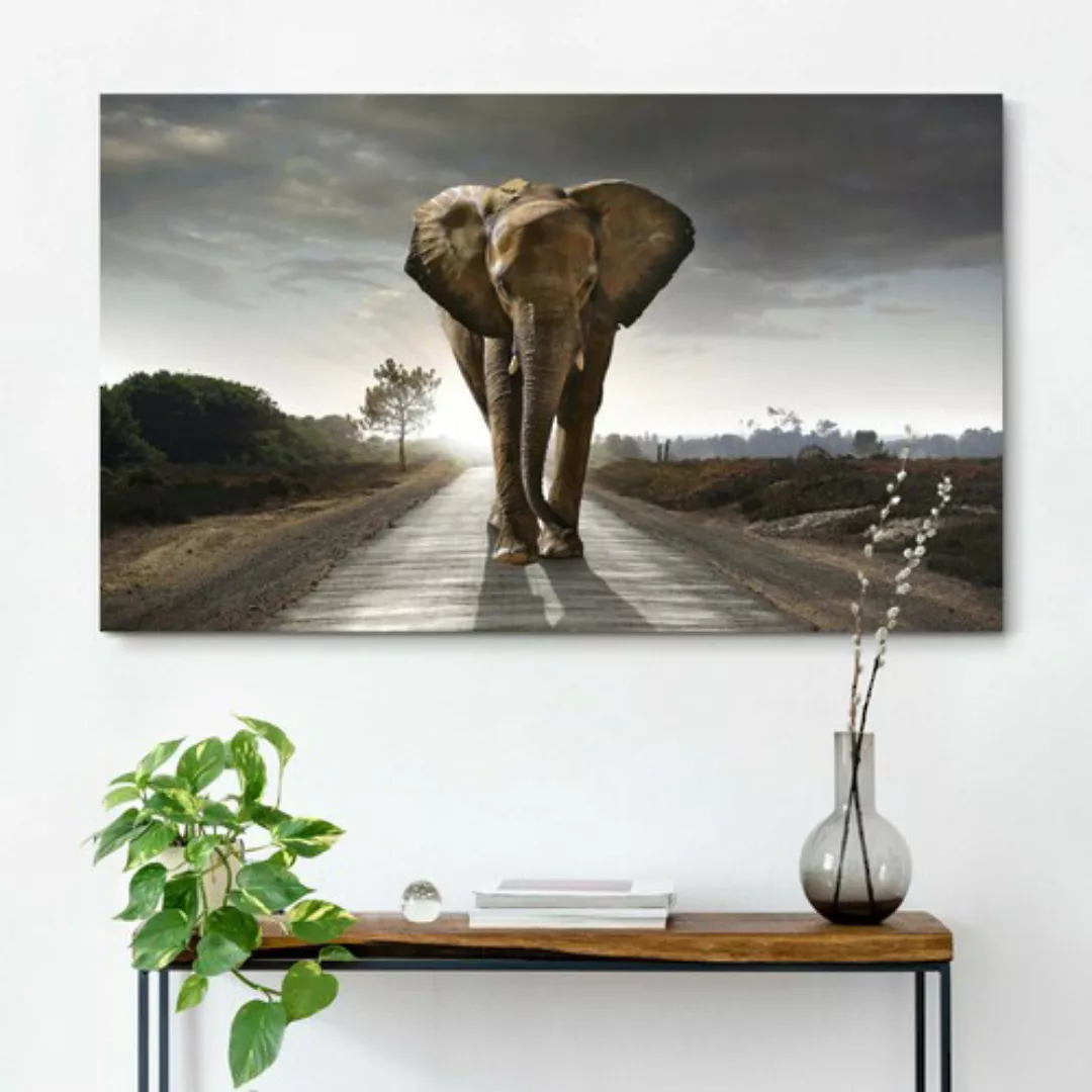 Reinders Wandbild "Elefant König" günstig online kaufen