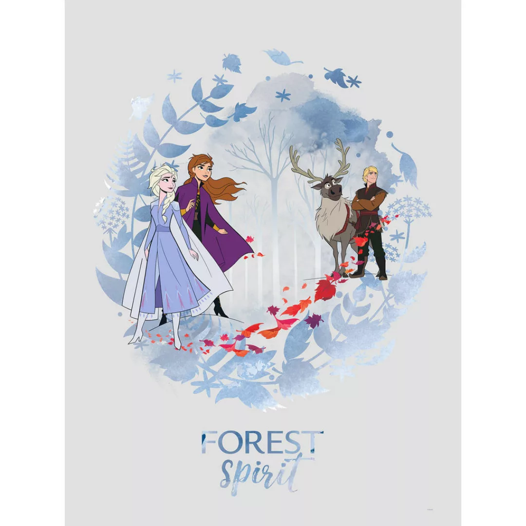 Komar Wandbild Frozen Spirit Disney B/L: ca. 30x40 cm günstig online kaufen