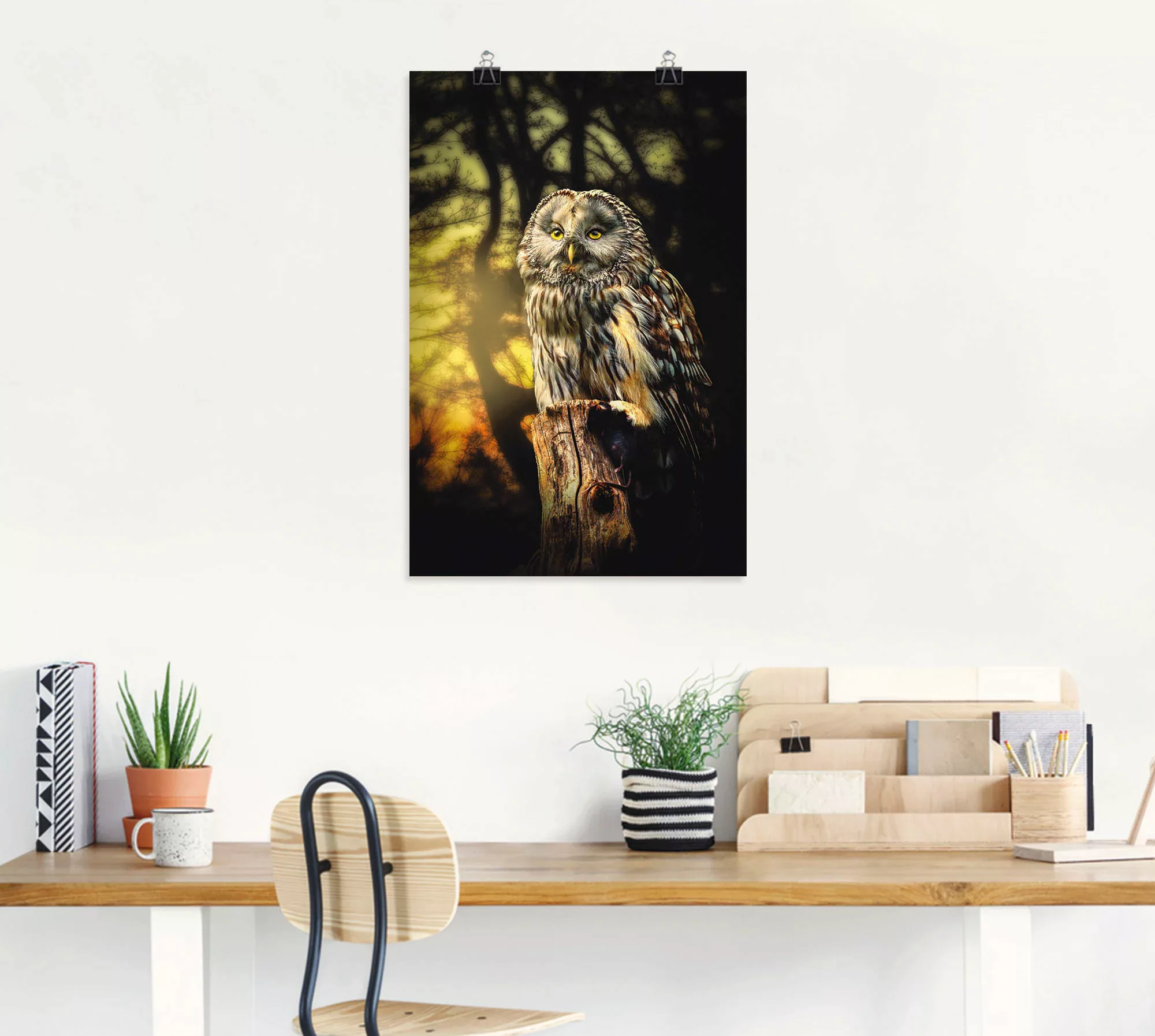 Artland Wandbild "Eule", Vögel, (1 St.) günstig online kaufen