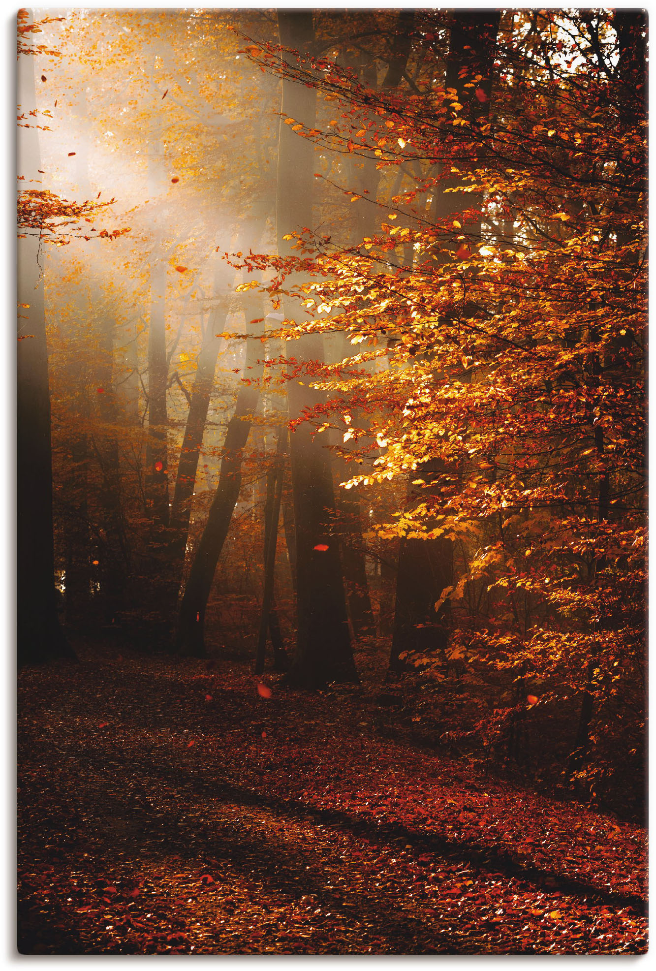 Artland Wandbild »Sonnenaufgang im Herbst«, Wald, (1 St.), als Leinwandbild günstig online kaufen