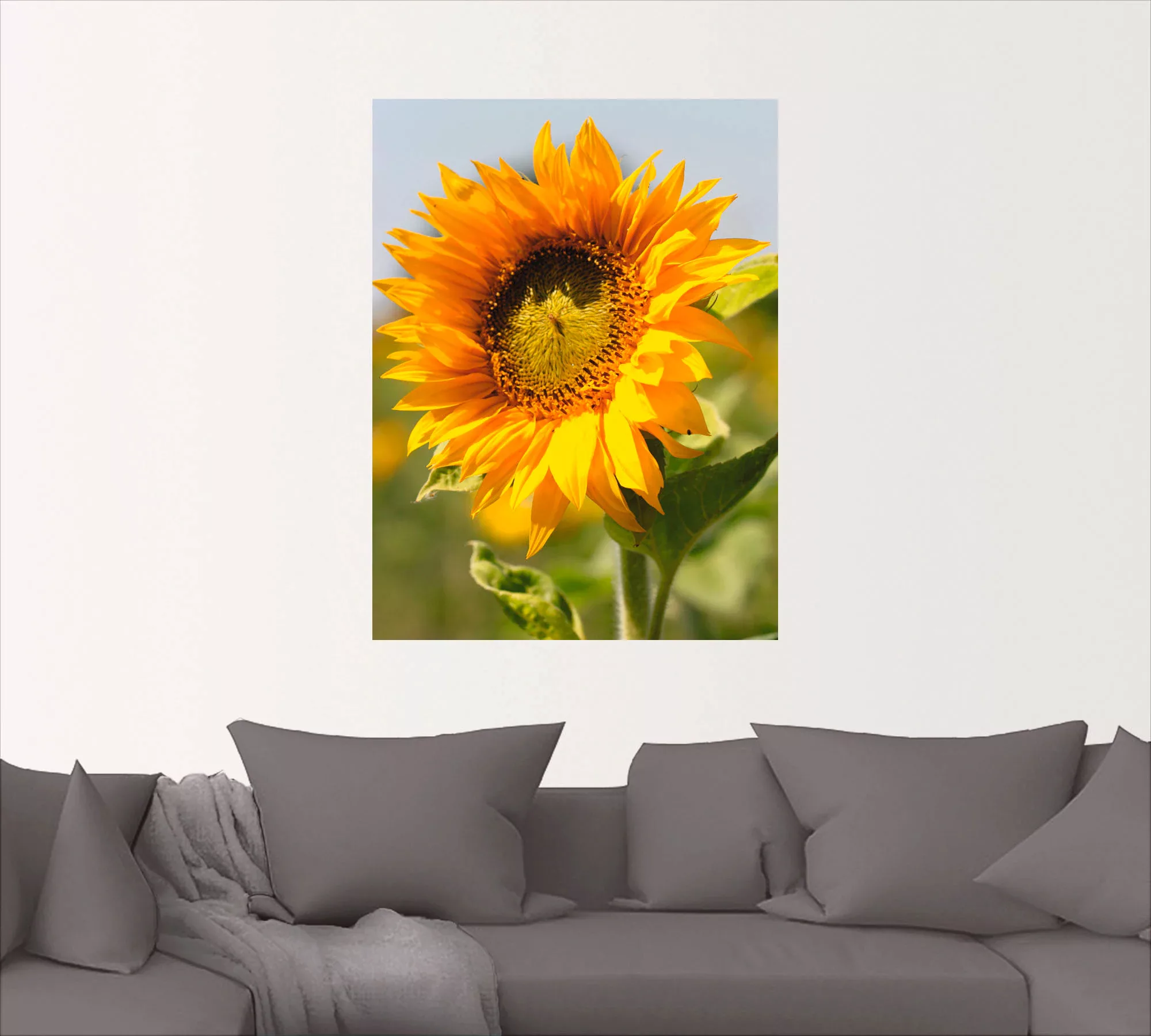Artland Wandbild "Sonnenblume", Blumen, (1 St.), als Leinwandbild, Poster, günstig online kaufen