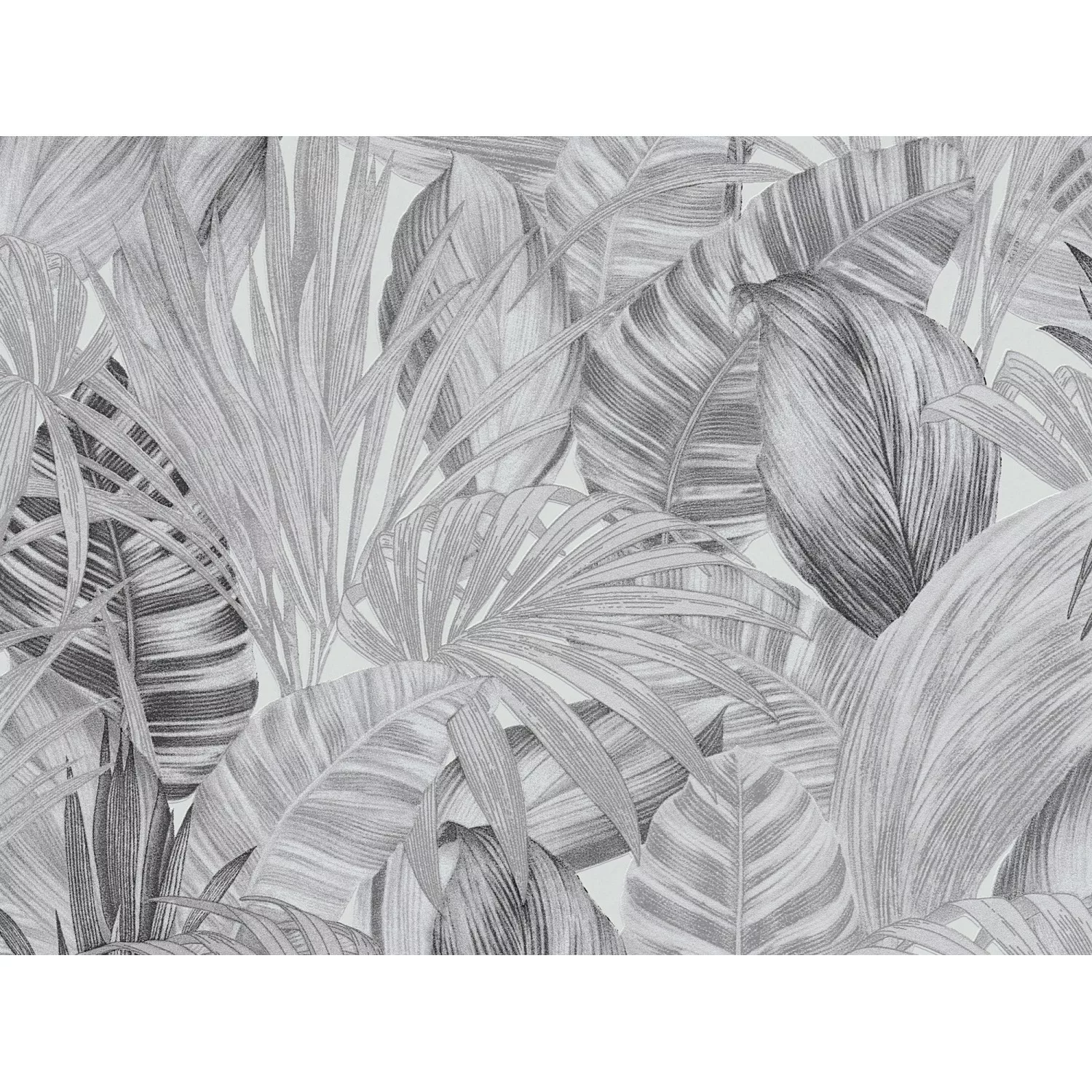 Bricoflor Graue Palmen Tapete Moderne Vliestapete mit Palmenblättern in Hel günstig online kaufen