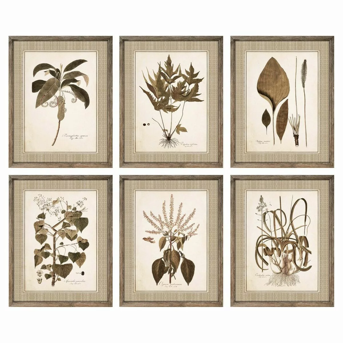 Bild Dkd Home Decor Blomster Moderne (55 X 2,5 X 70 Cm) (6 Stück) günstig online kaufen