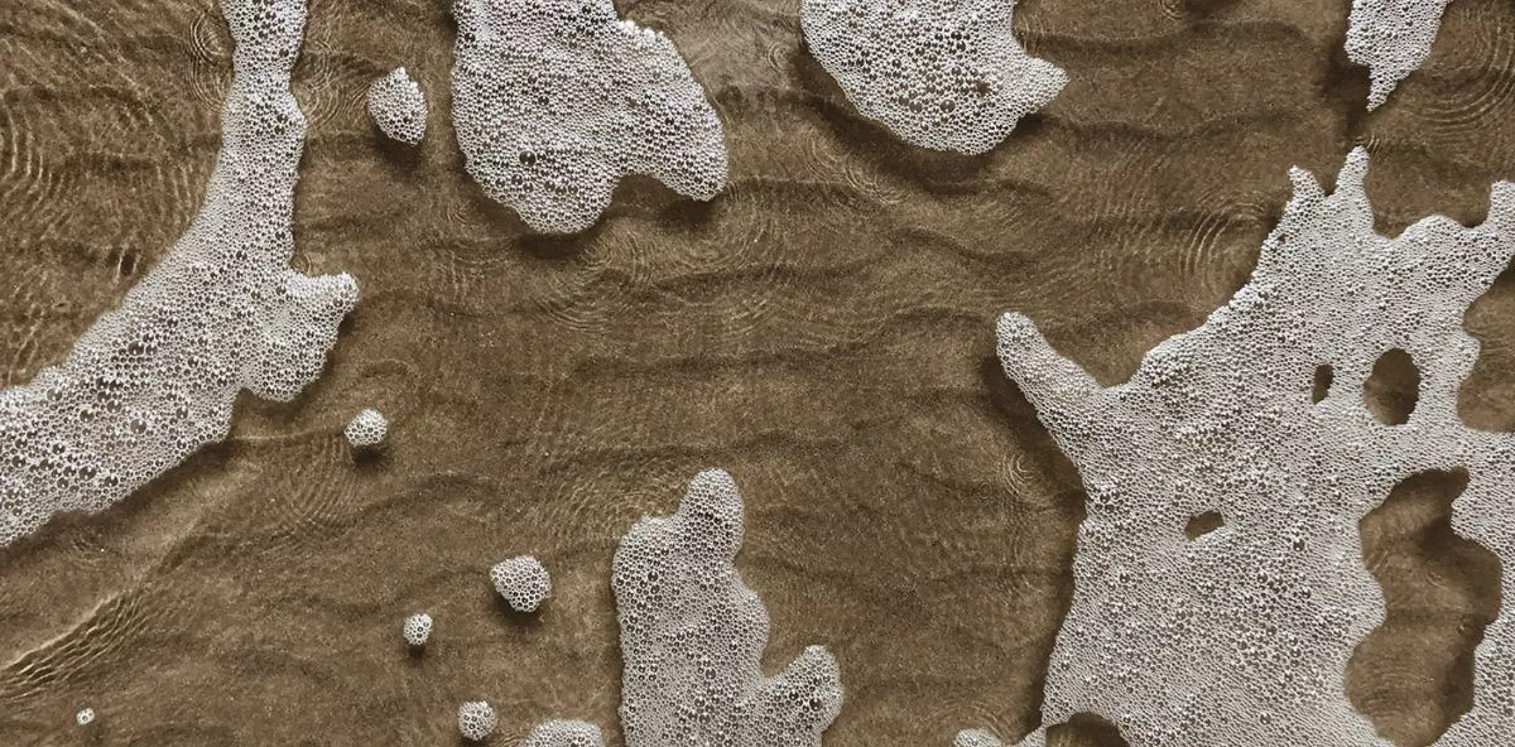 Wandkraft | Wanddekoration Strandleben günstig online kaufen