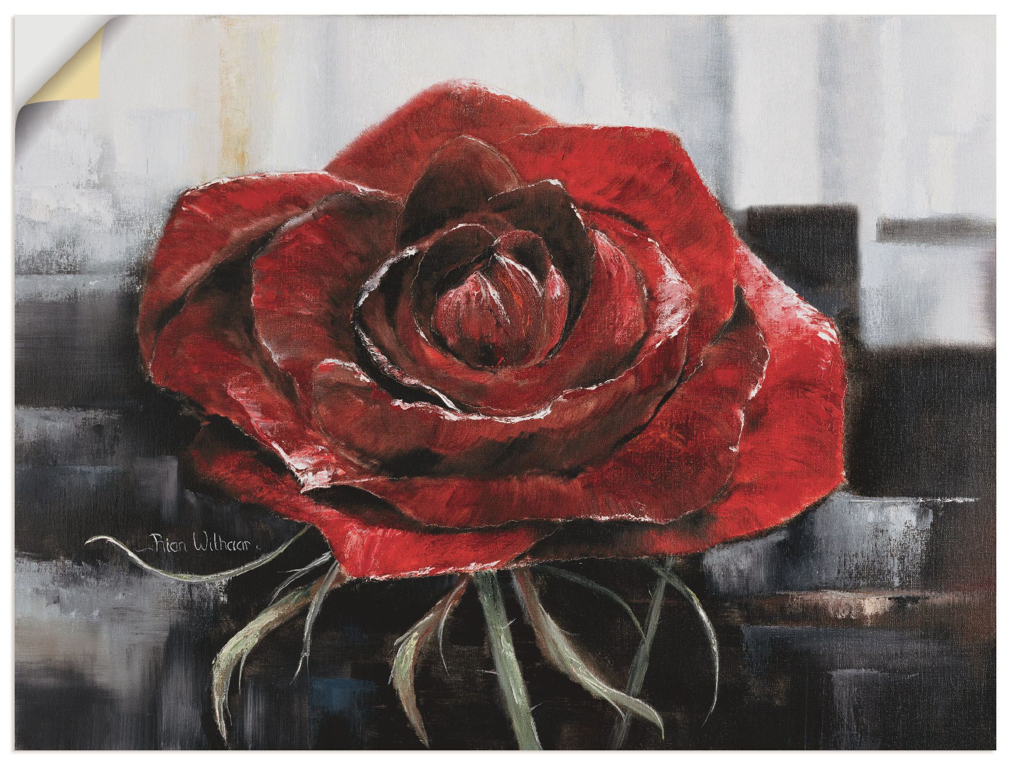 Artland Wandbild »Blühende rote Rose«, Blumen, (1 St.), als Leinwandbild, P günstig online kaufen