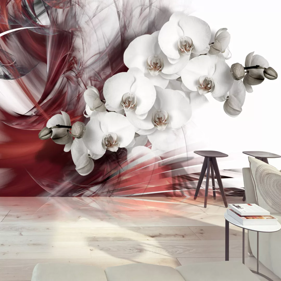 Fototapete - Orchid in red günstig online kaufen