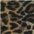 done.® Kissenhülle Leopard, (1 Stück), Jaquardgewebte günstig online kaufen