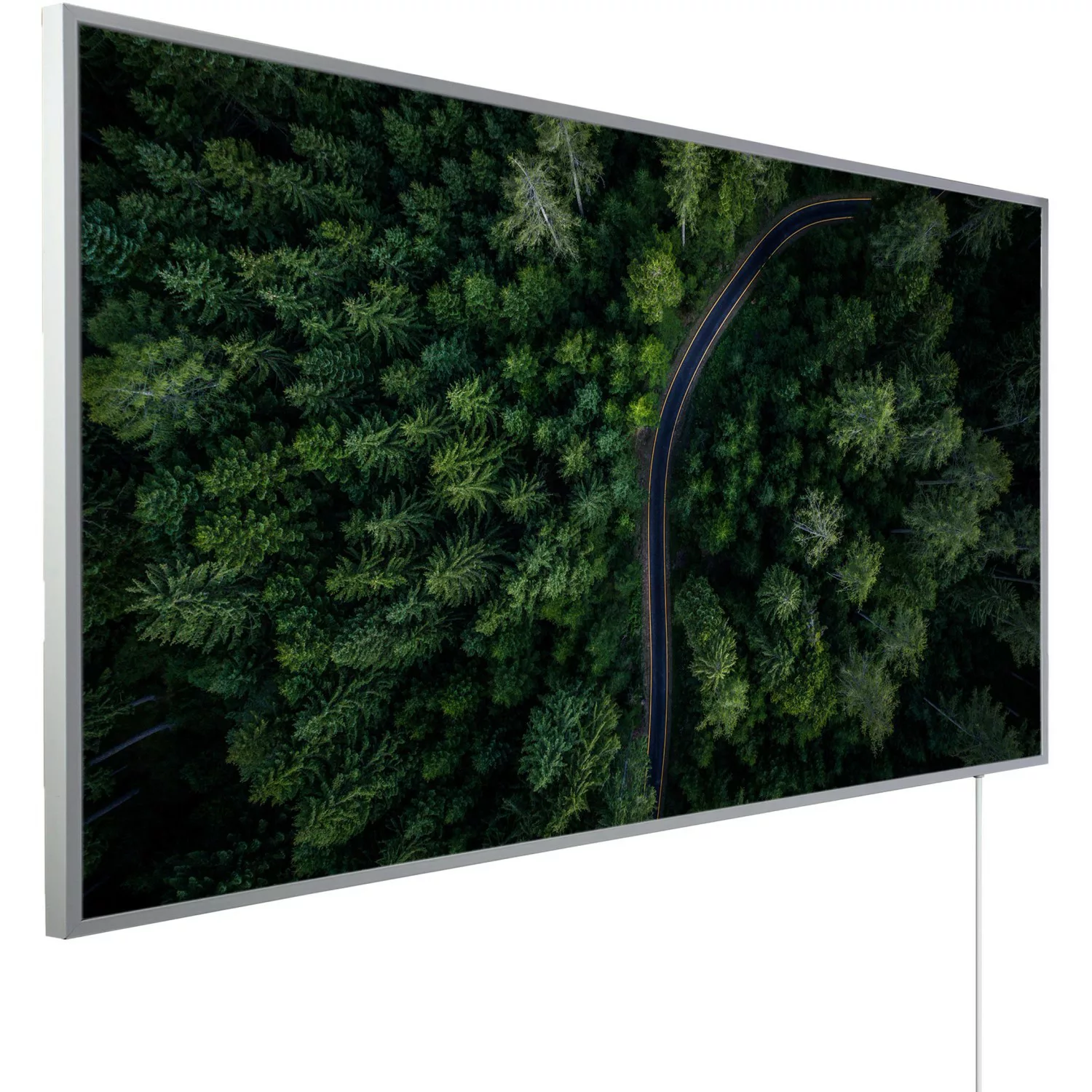 Könighaus Infrarotheizung Panorama-Serie 60 cm x 120 cm 1000 W Waldstraße günstig online kaufen