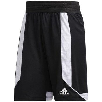 adidas  7/8 & 3/4 Hosen Creator 365 günstig online kaufen