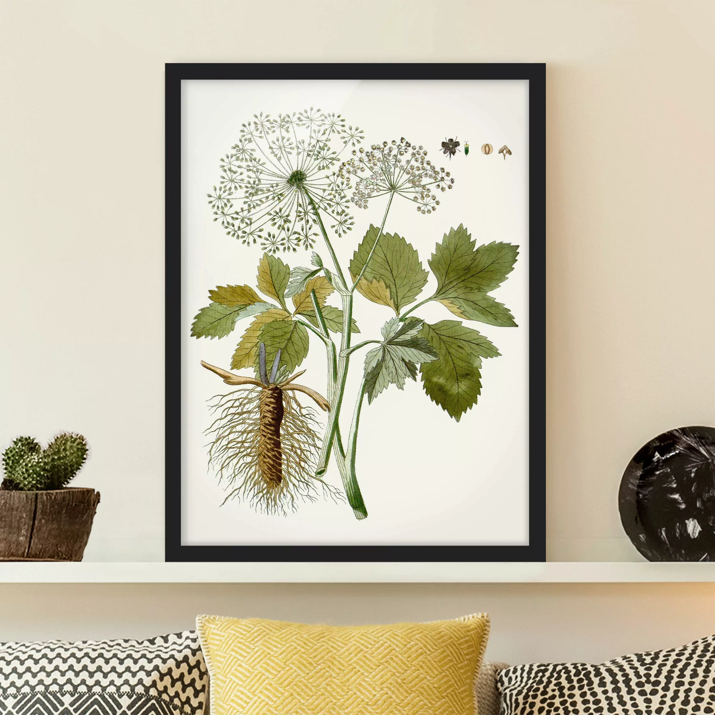 Bild mit Rahmen Blumen - Hochformat Wildkräuter Schautafel IV günstig online kaufen