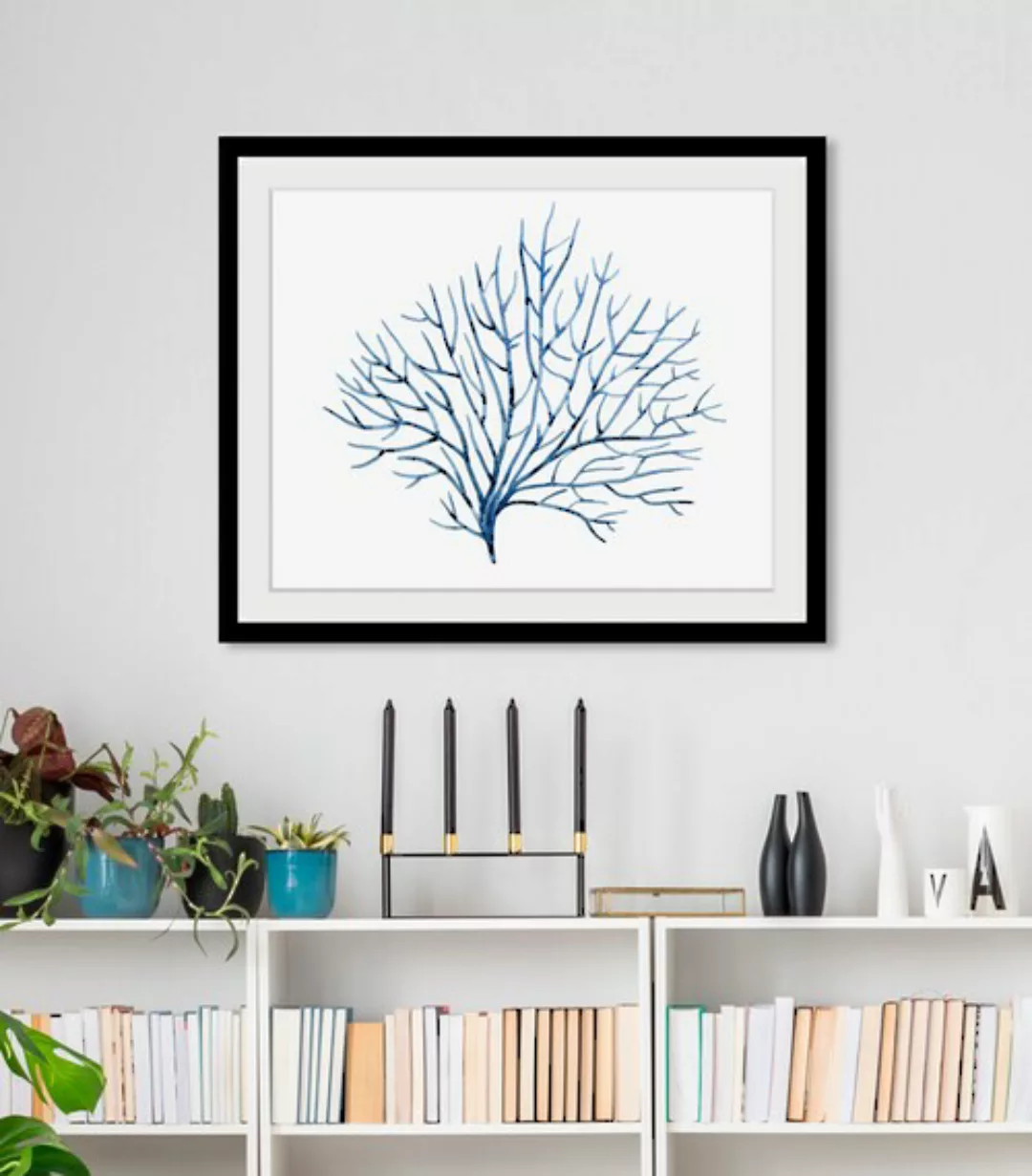 queence Bild »Cody«, Meer-Wassertiere-Kunst, (1 St.), HD Premium Poster-Dru günstig online kaufen
