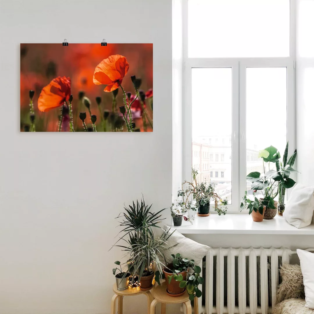 Artland Wandbild »Rote Mohnblumen in der Provence«, Blumenbilder, (1 St.), günstig online kaufen