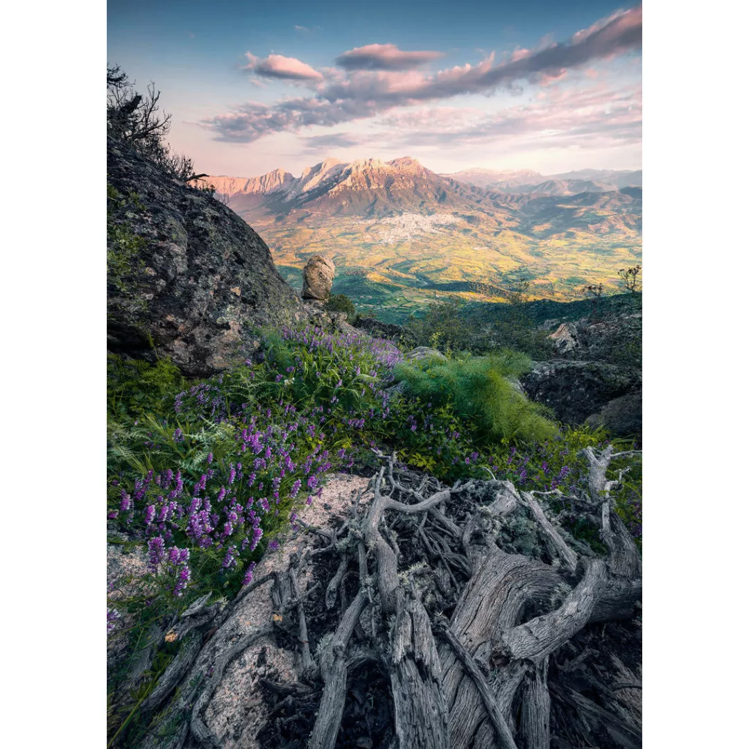 Komar Fototapete Flowering Tales B/L: ca. 200x280 cm günstig online kaufen