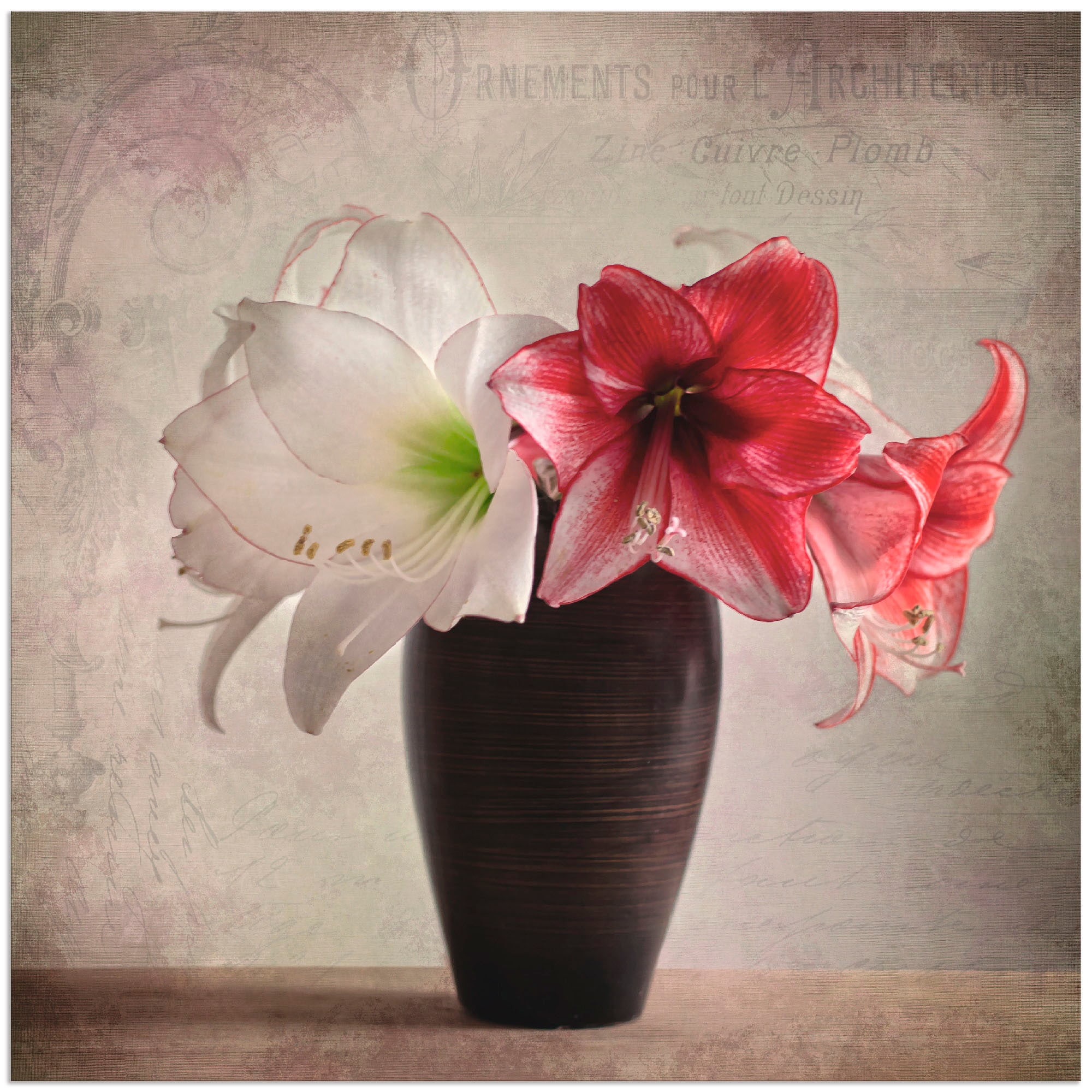 Artland Wandbild »Amaryllis Vintage I«, Blumen, (1 St.), als Alubild, Outdo günstig online kaufen